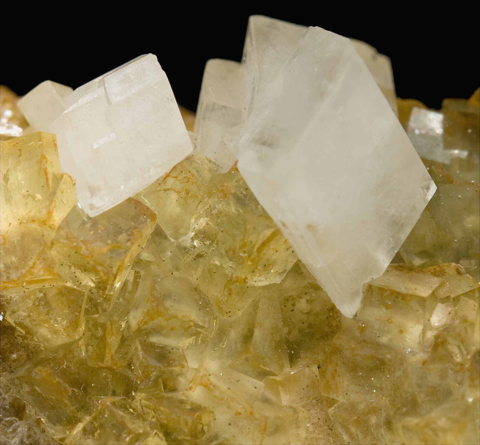 specimens/s_imagesS5/Fluorite-NJ64S5d.jpg
