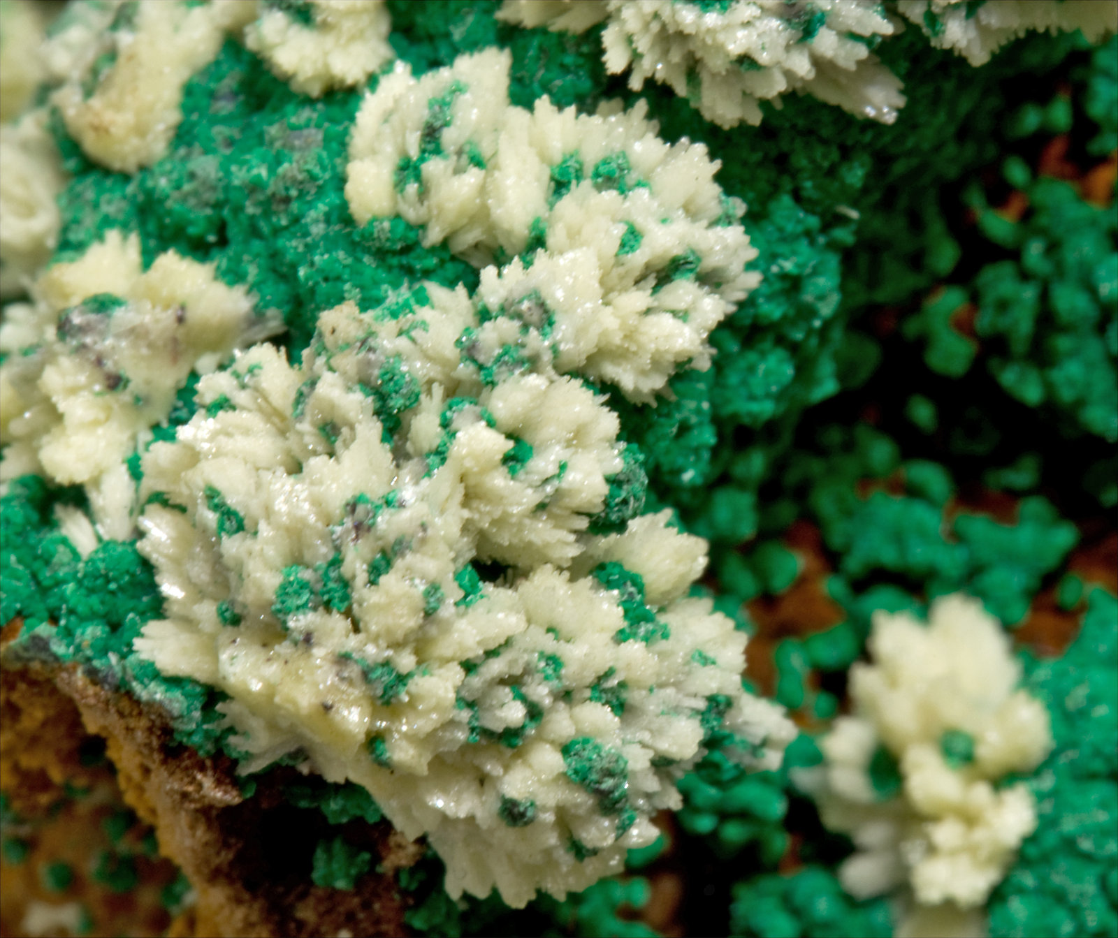 specimens/s_imagesS5/Malachite-TT16S5d.jpg