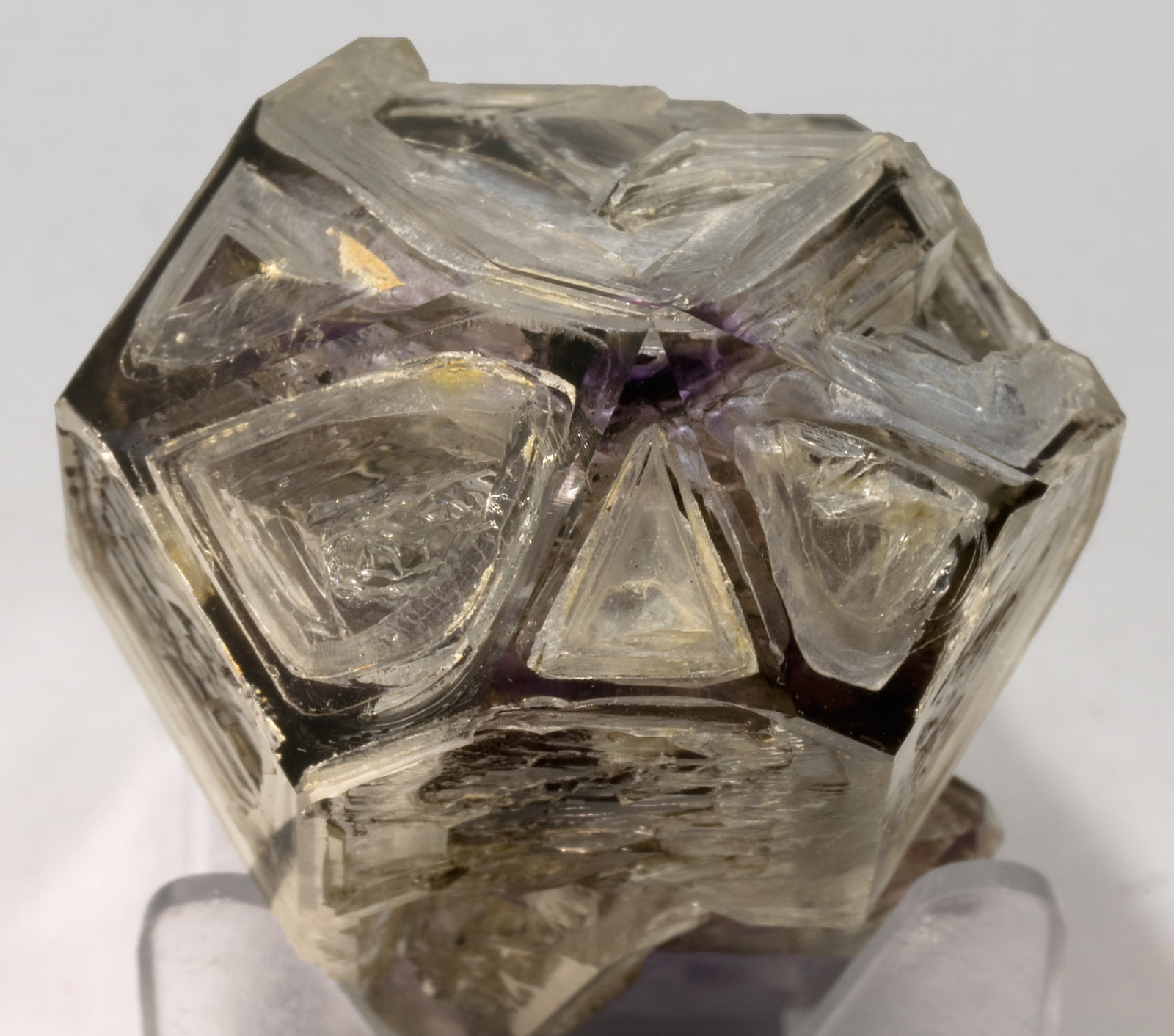 specimens/s_imagesS5/Quartz_Amethyst-TF91S5t.jpg
