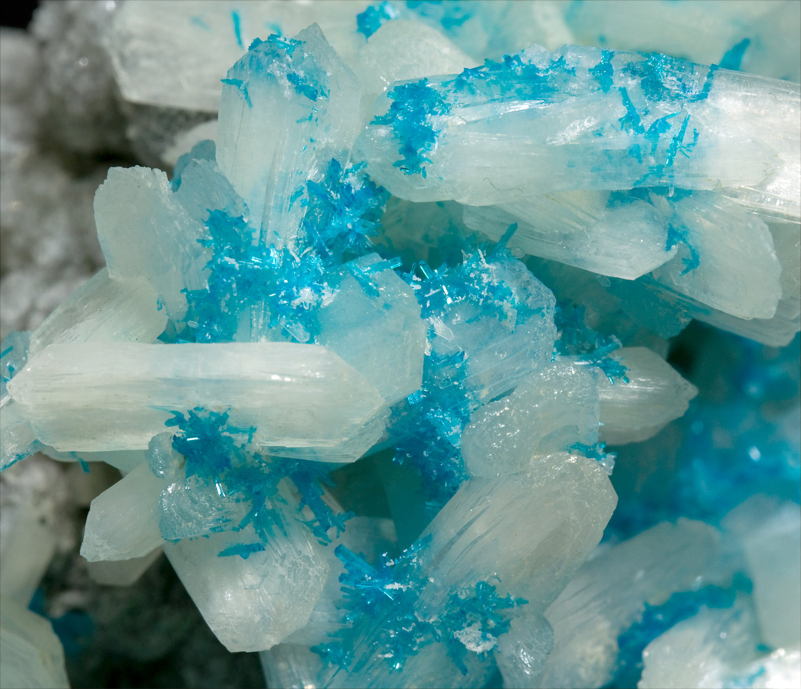 specimens/s_imagesS7/Cavansite-MQ12S7d.jpg