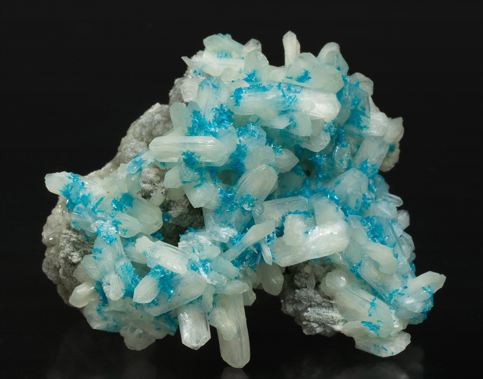 specimens/s_imagesS7/Cavansite-MQ12S7f.jpg