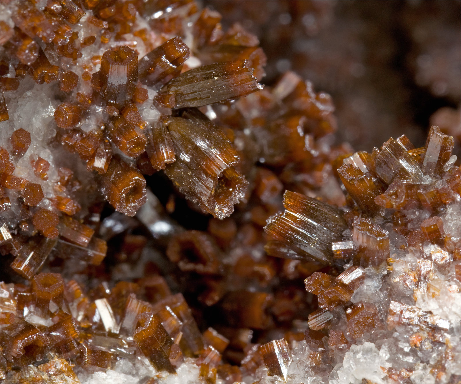 specimens/s_imagesS7/Vanadinite-RR27S7d.jpg