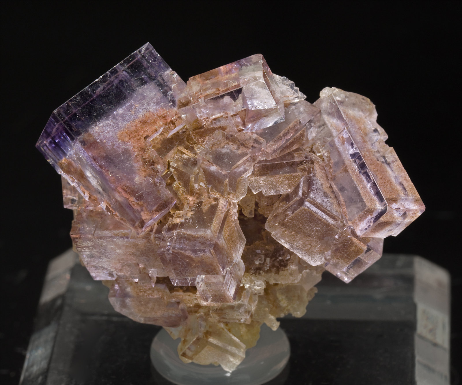 specimens/s_imagesS9/Fluorite-NJ96S9.jpg