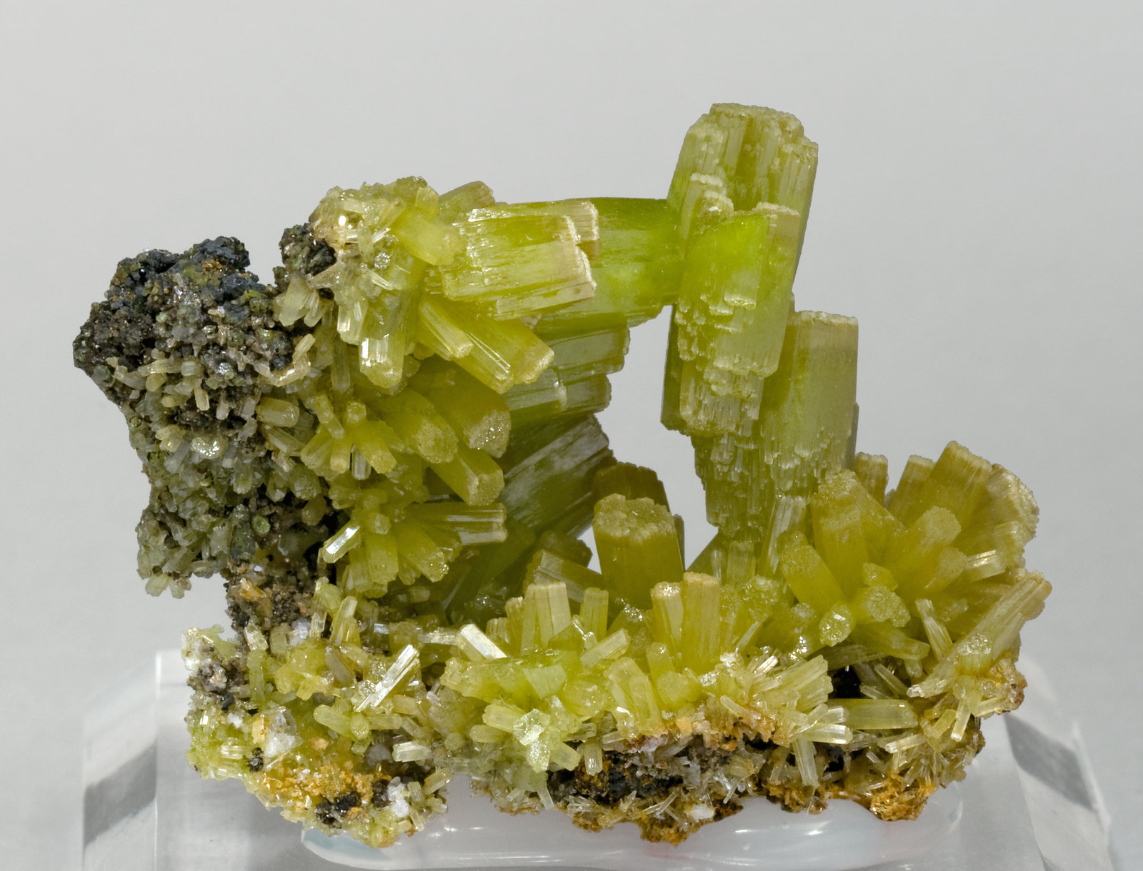 specimens/s_imagesS9/Pyromorphite-TJ87S9f.jpg