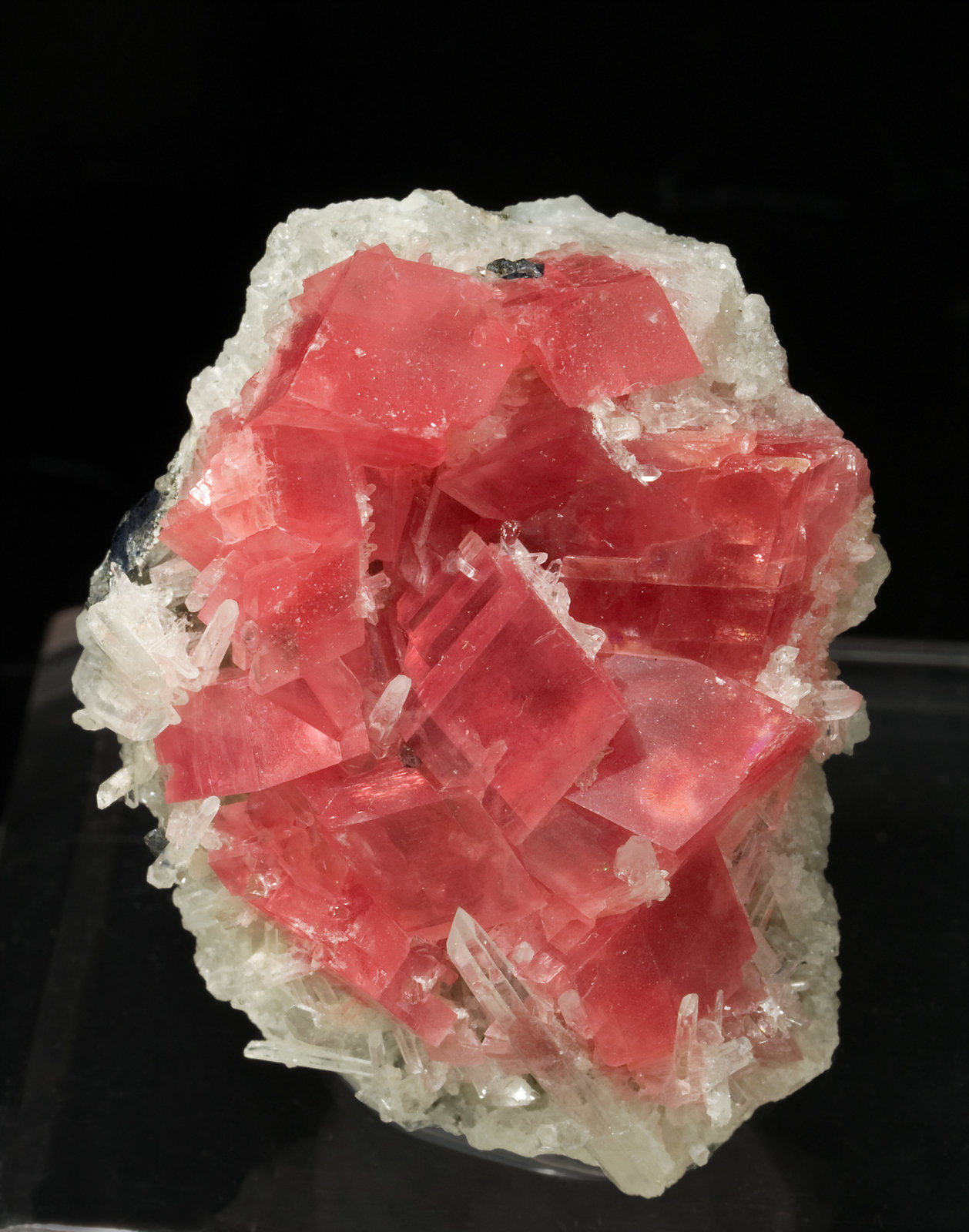 specimens/s_imagesS9/Rhodochrosite-AN70S9.jpg