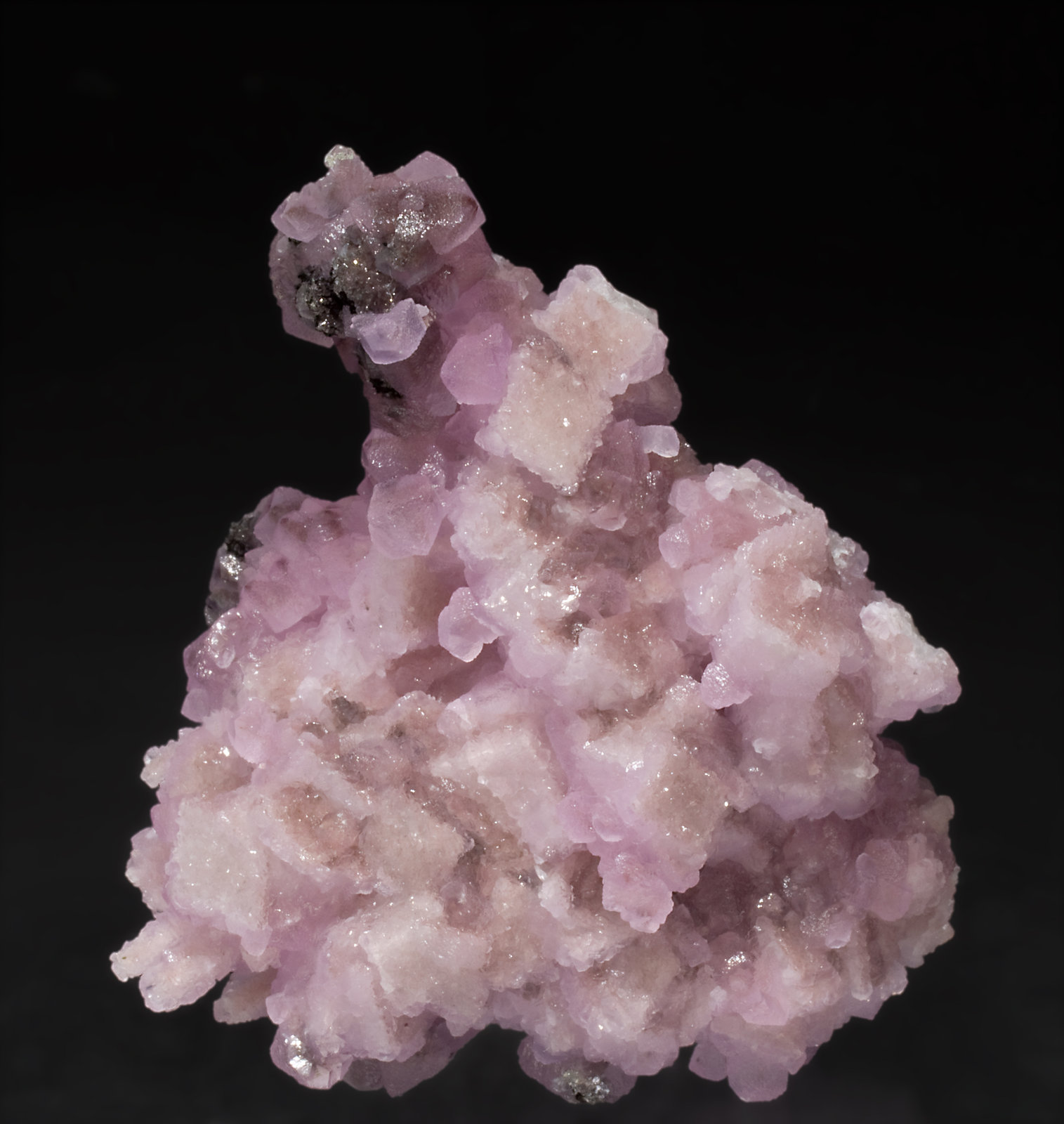 specimens/s_imagesT0/Cobaltian_Calcite-EA14T0.jpg