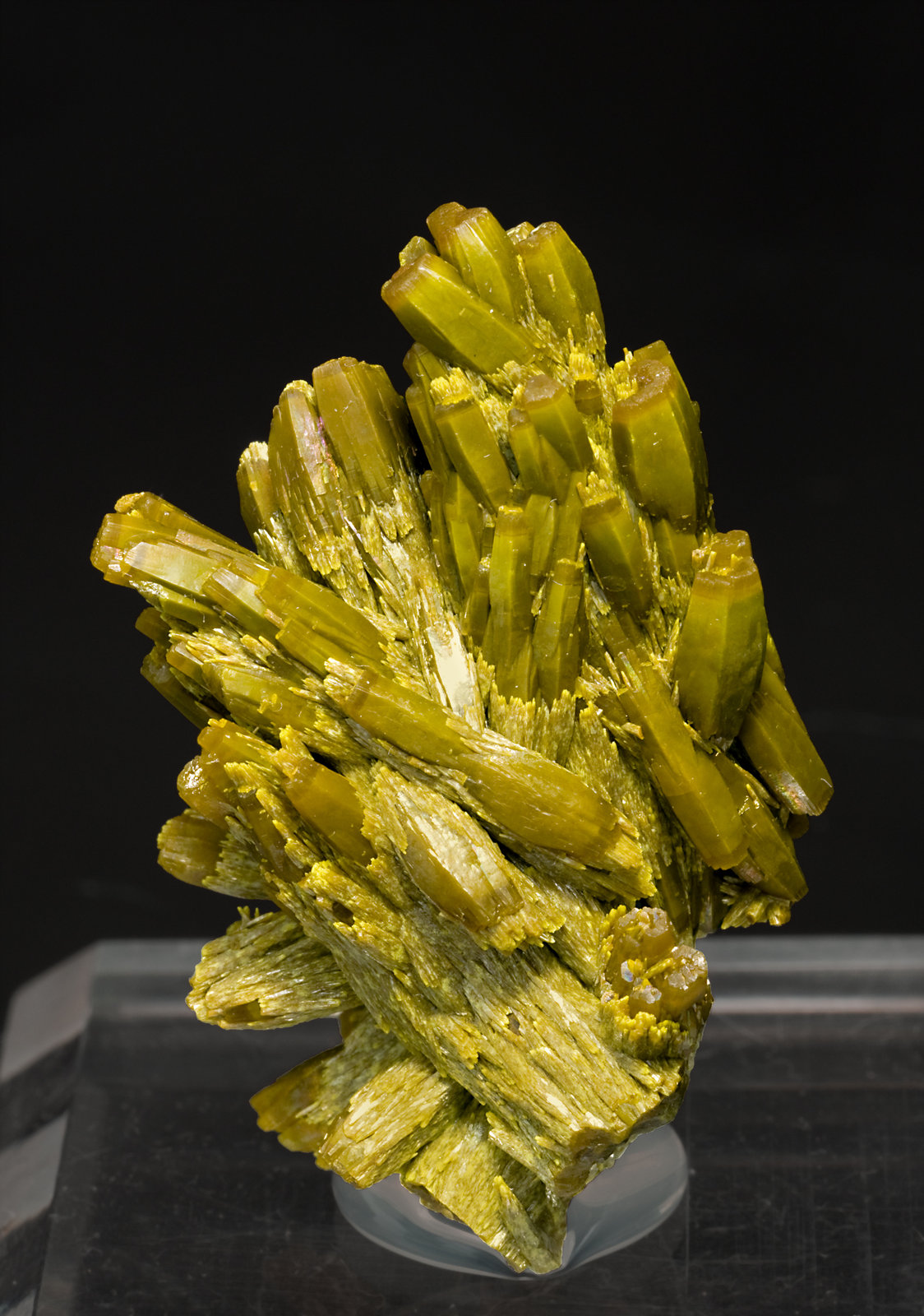 specimens/s_imagesT0/Pyromorphite-TP90T0f.jpg