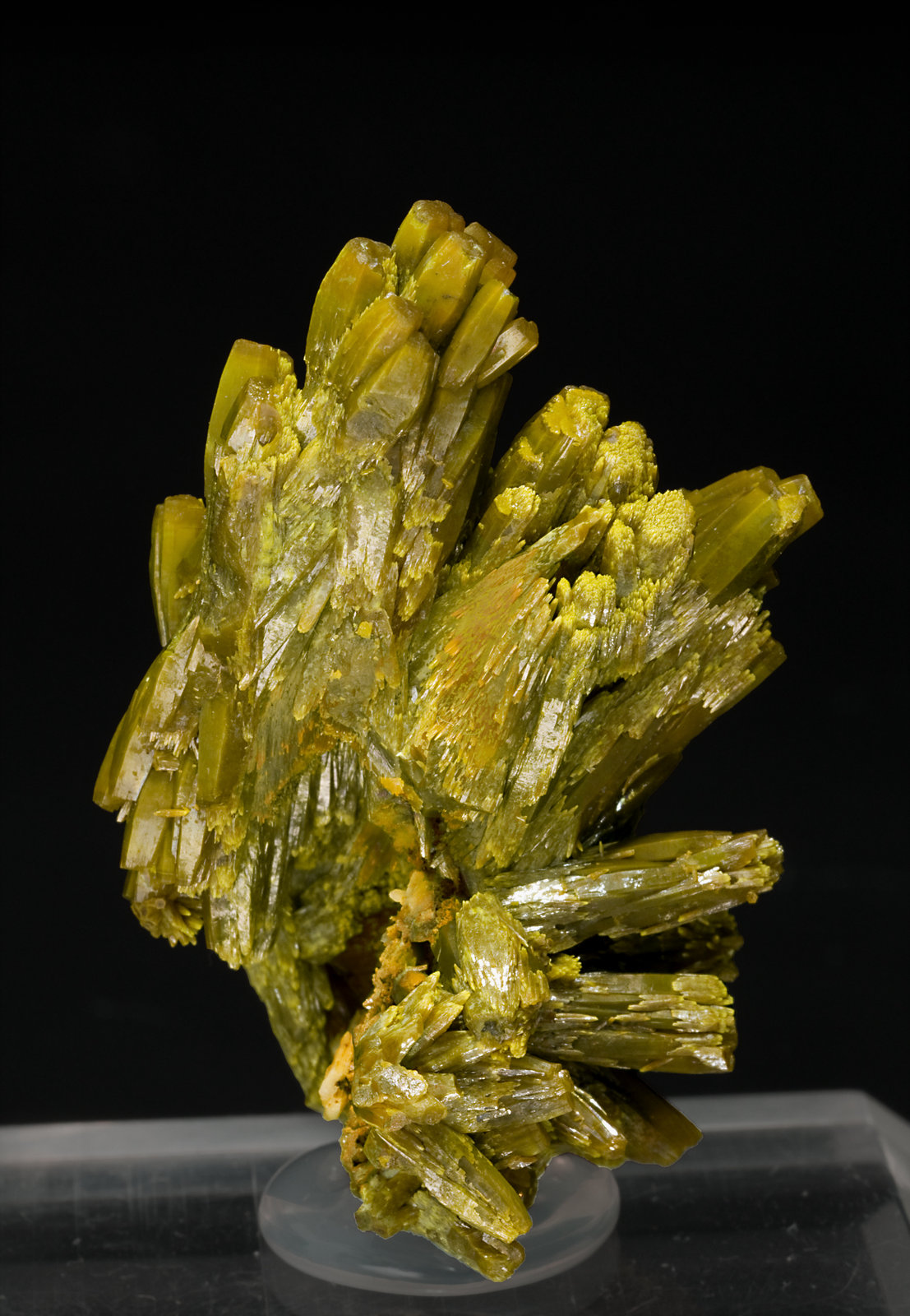 specimens/s_imagesT0/Pyromorphite-TP90T0r.jpg
