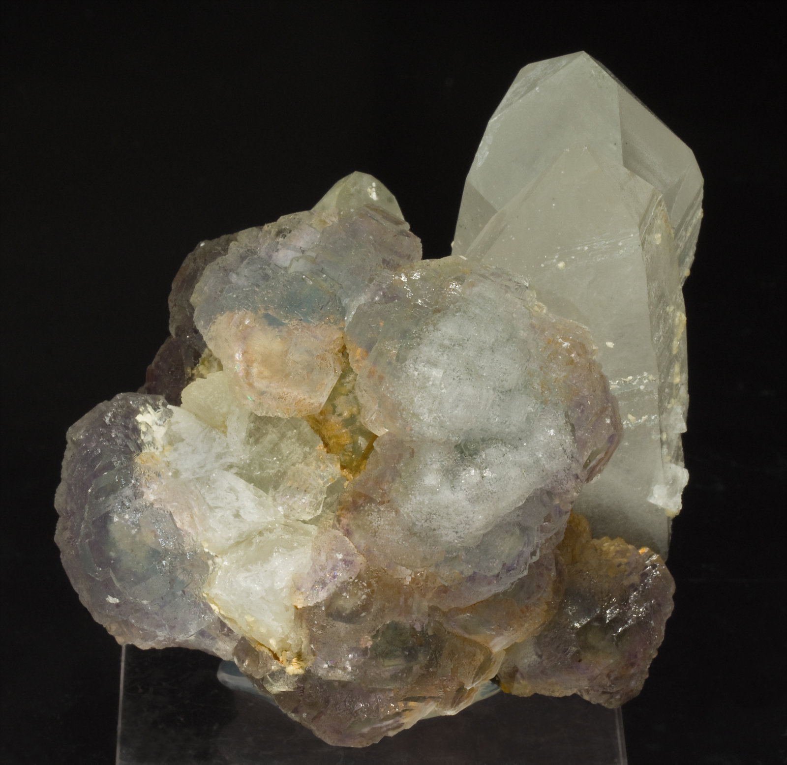 specimens/s_imagesT1/Fluorite-MC27T1f.jpg