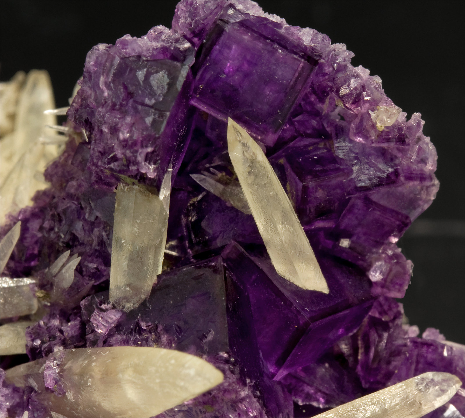 specimens/s_imagesT1/Fluorite-MX14T1d.jpg
