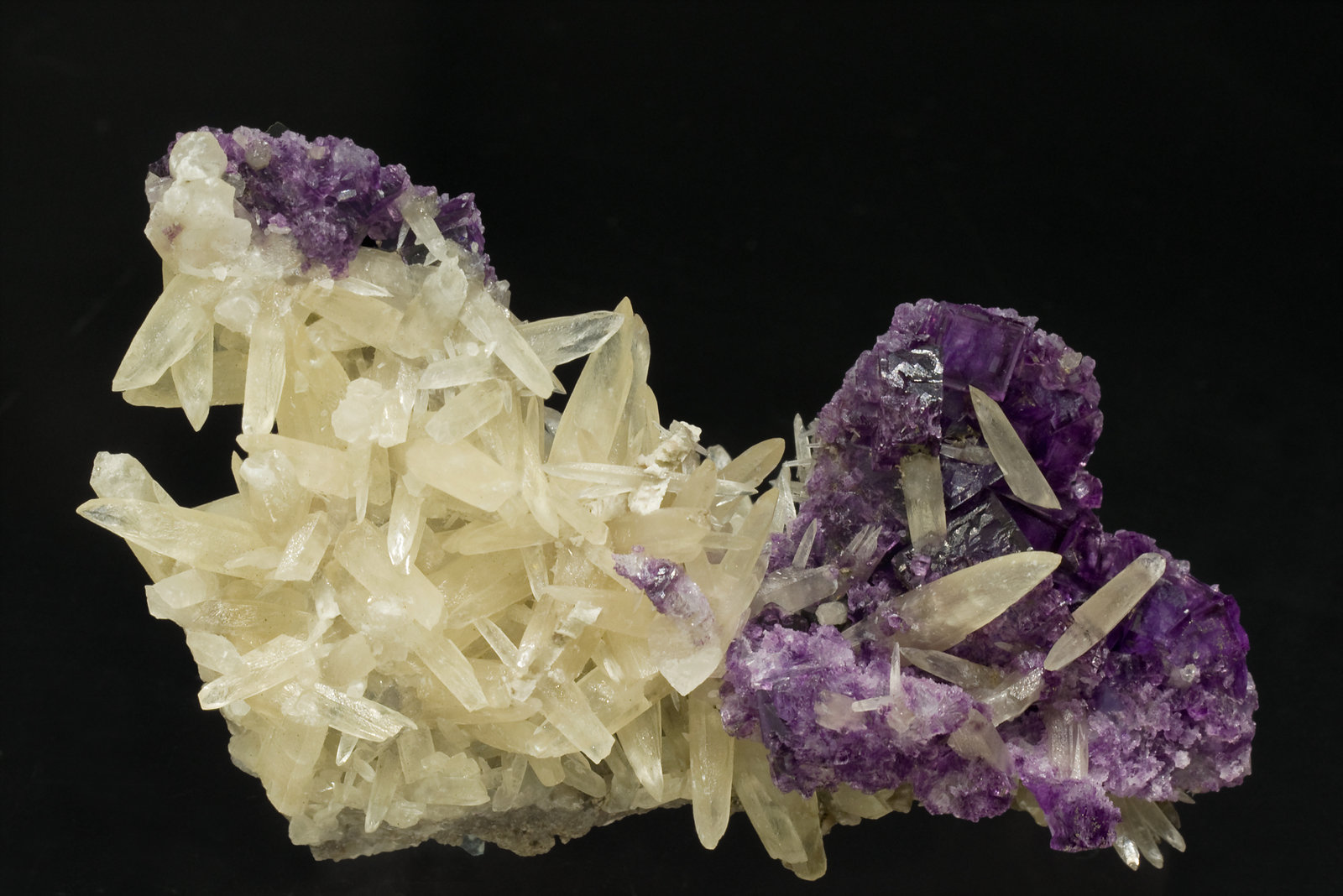 specimens/s_imagesT1/Fluorite-MX14T1f.jpg