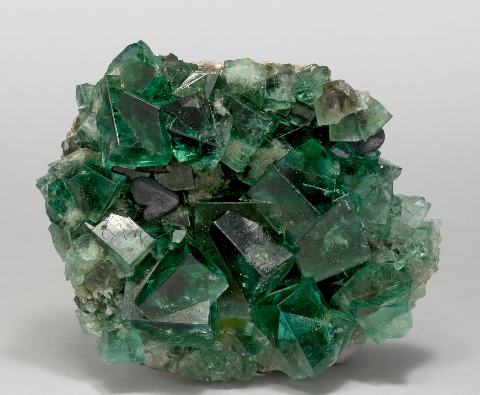 specimens/s_imagesT1/Fluorite-MX68T1f.jpg
