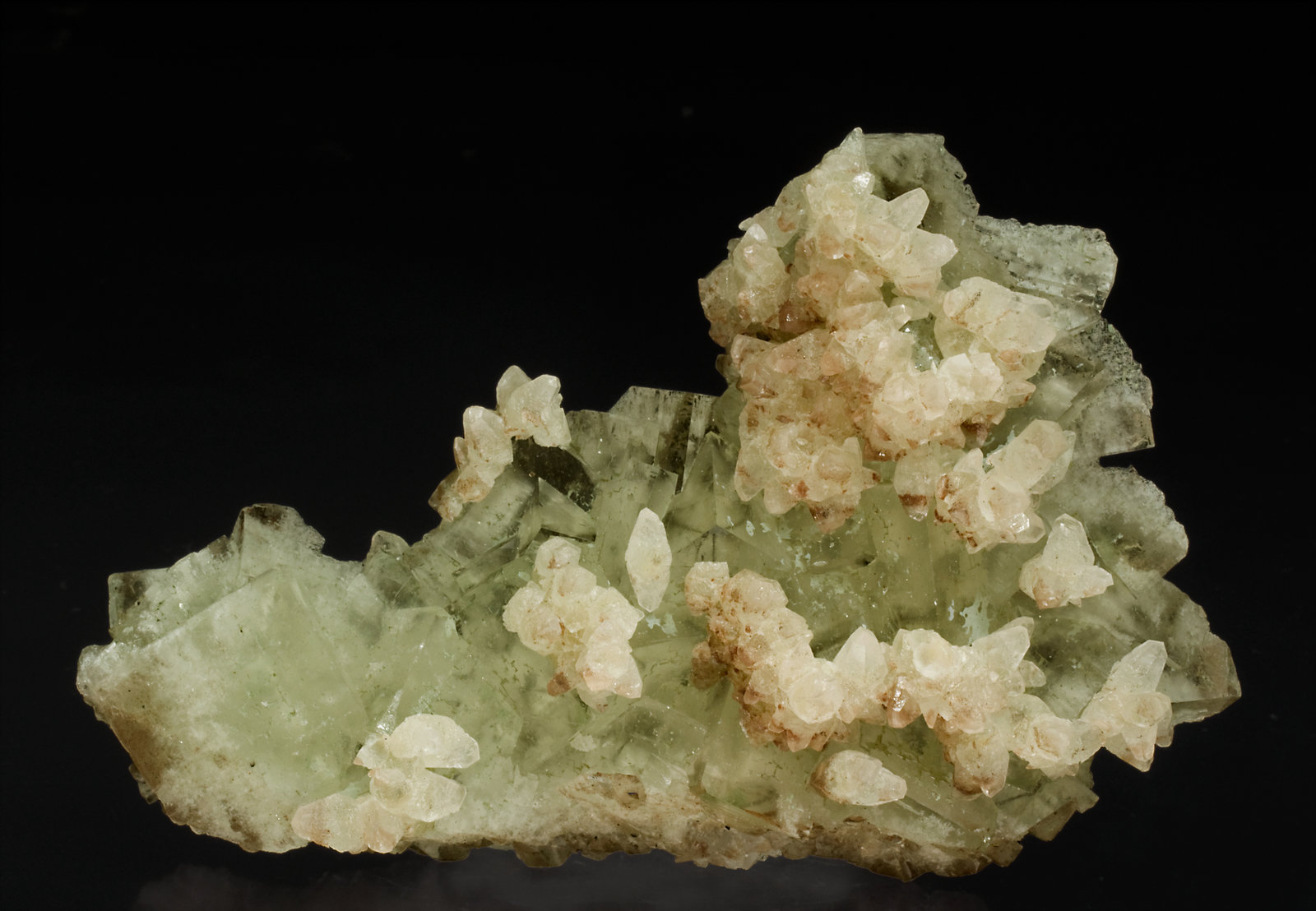specimens/s_imagesT1/Fluorite-NC66T1f.jpg