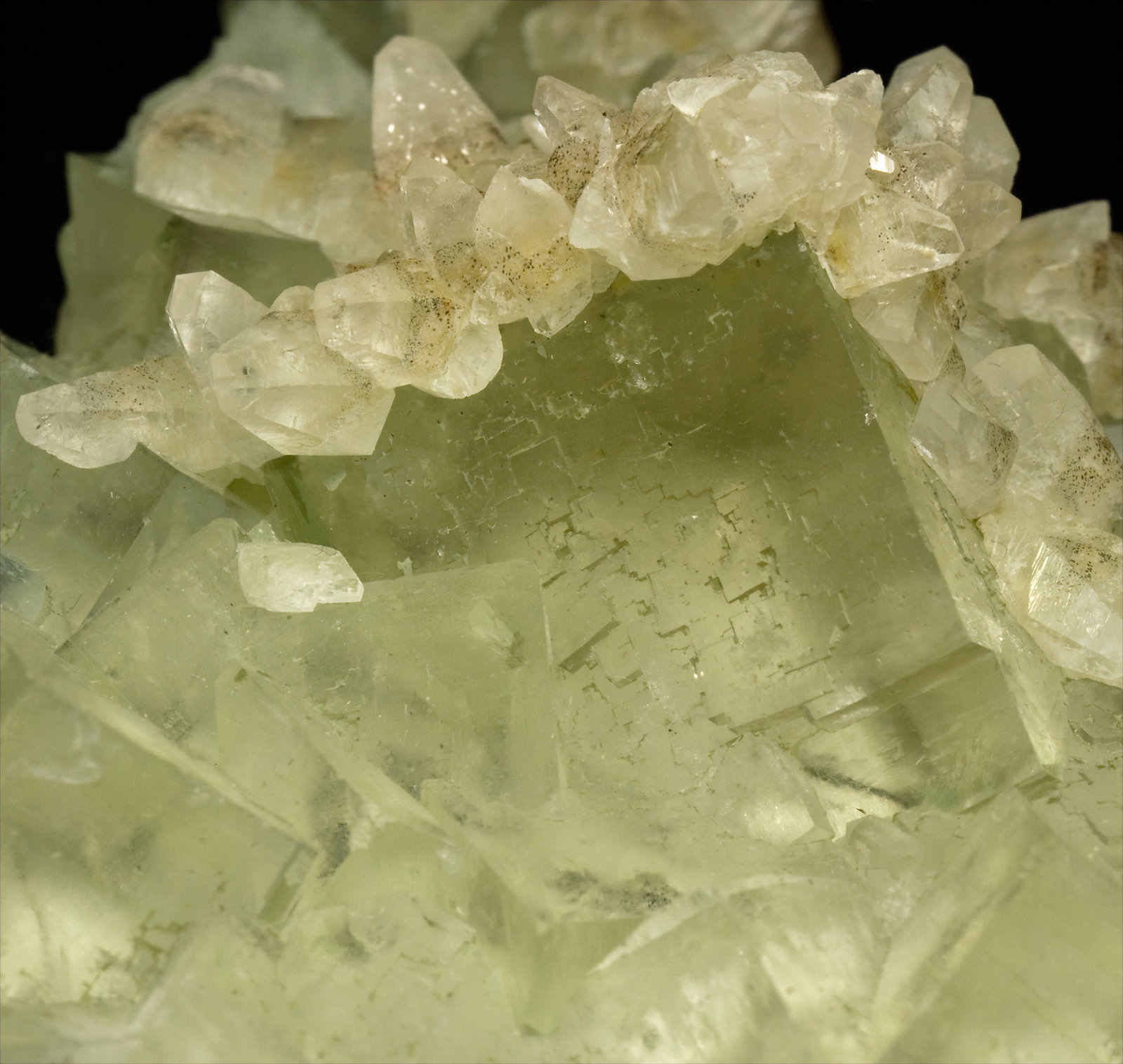 specimens/s_imagesT1/Fluorite-NF16T1d.jpg
