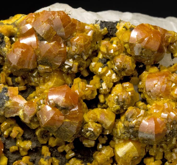 specimens/s_imagesT1/Mimetite_Campylite-NB97T1d.jpg