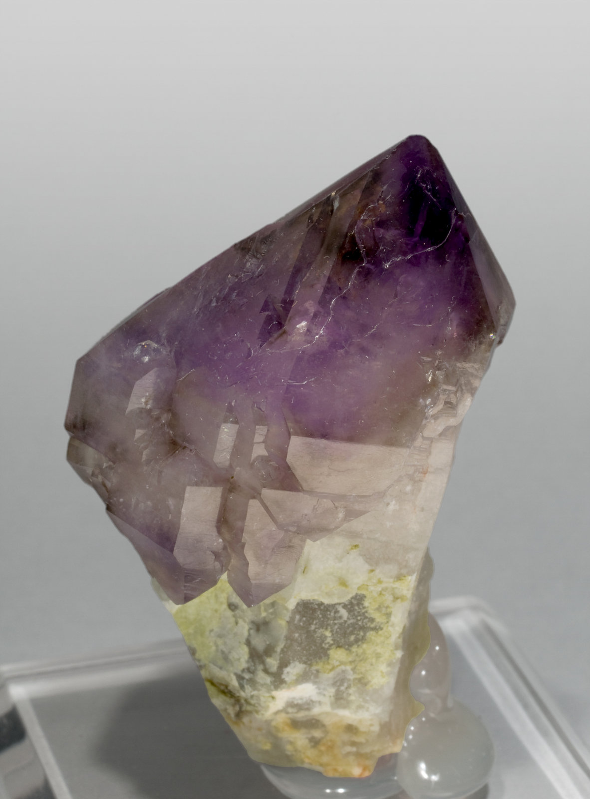 specimens/s_imagesT1/Quartz_Amethyst-NM96T1s.jpg