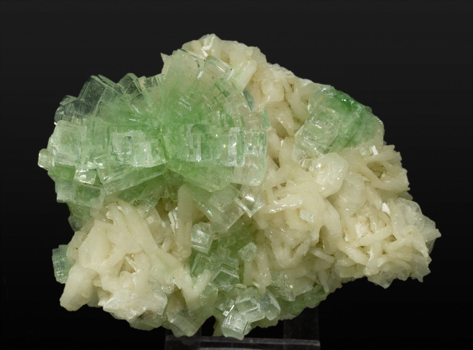 specimens/s_imagesT2/Apophyllite_KF-MD97T2f.jpg