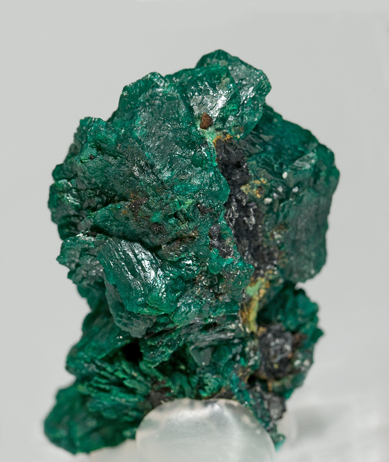 specimens/s_imagesT2/Euchroite-ER74T2r.jpg