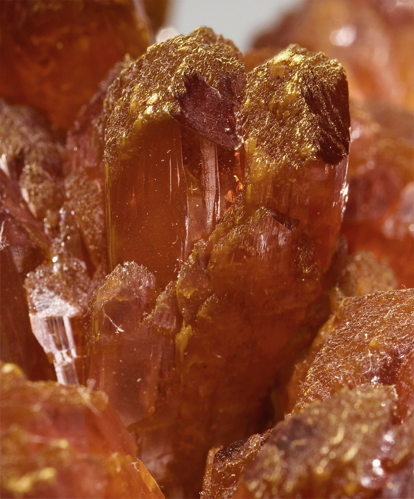 specimens/s_imagesT2/Orpiment-GH61T2d2.jpg