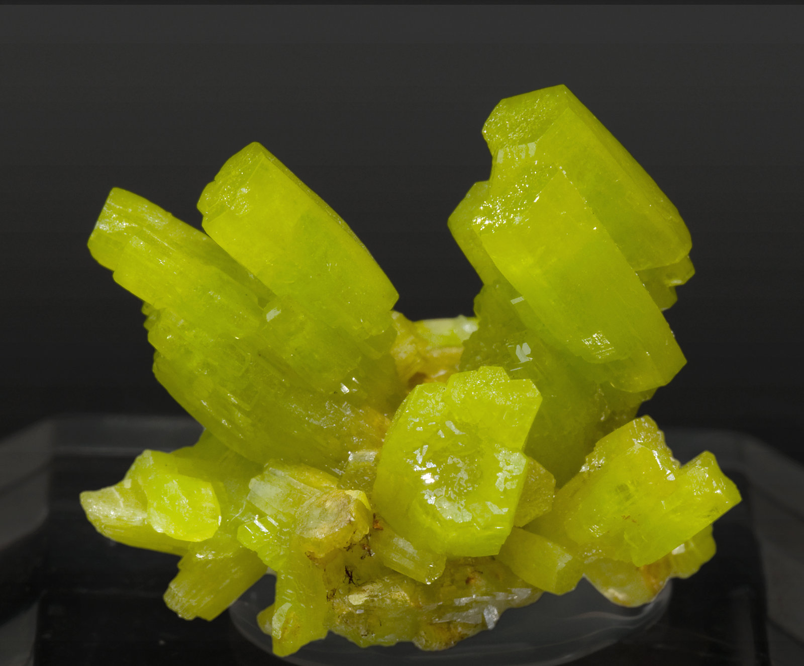 specimens/s_imagesT2/Pyromorphite-TH67T2f.jpg