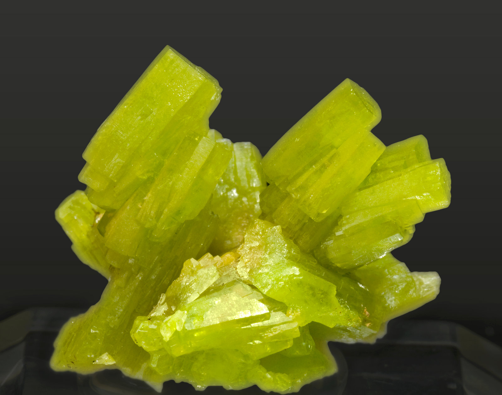 specimens/s_imagesT2/Pyromorphite-TH67T2r.jpg