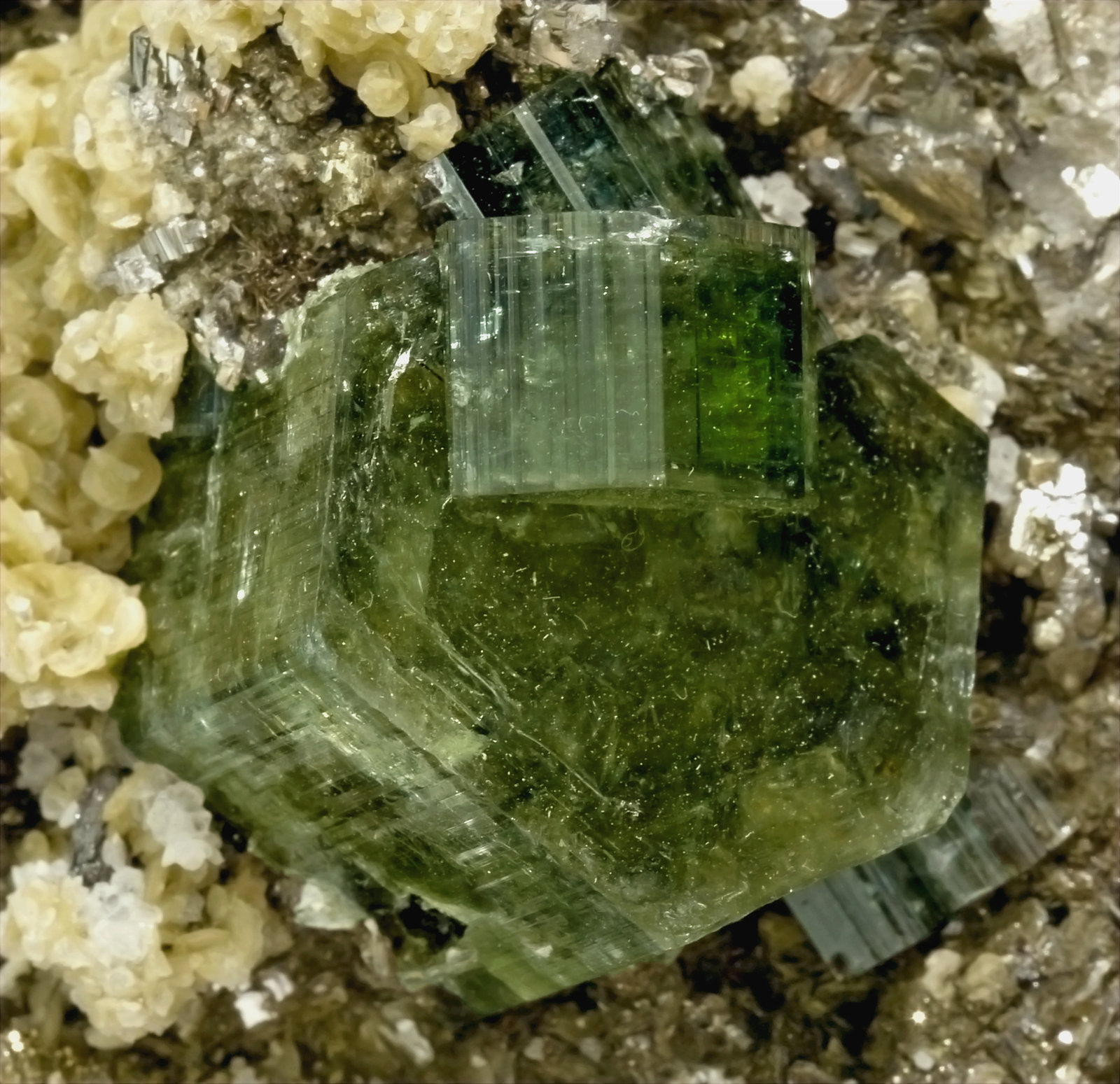 specimens/s_imagesT3/Apatite_CaF-TP93T3d.jpg