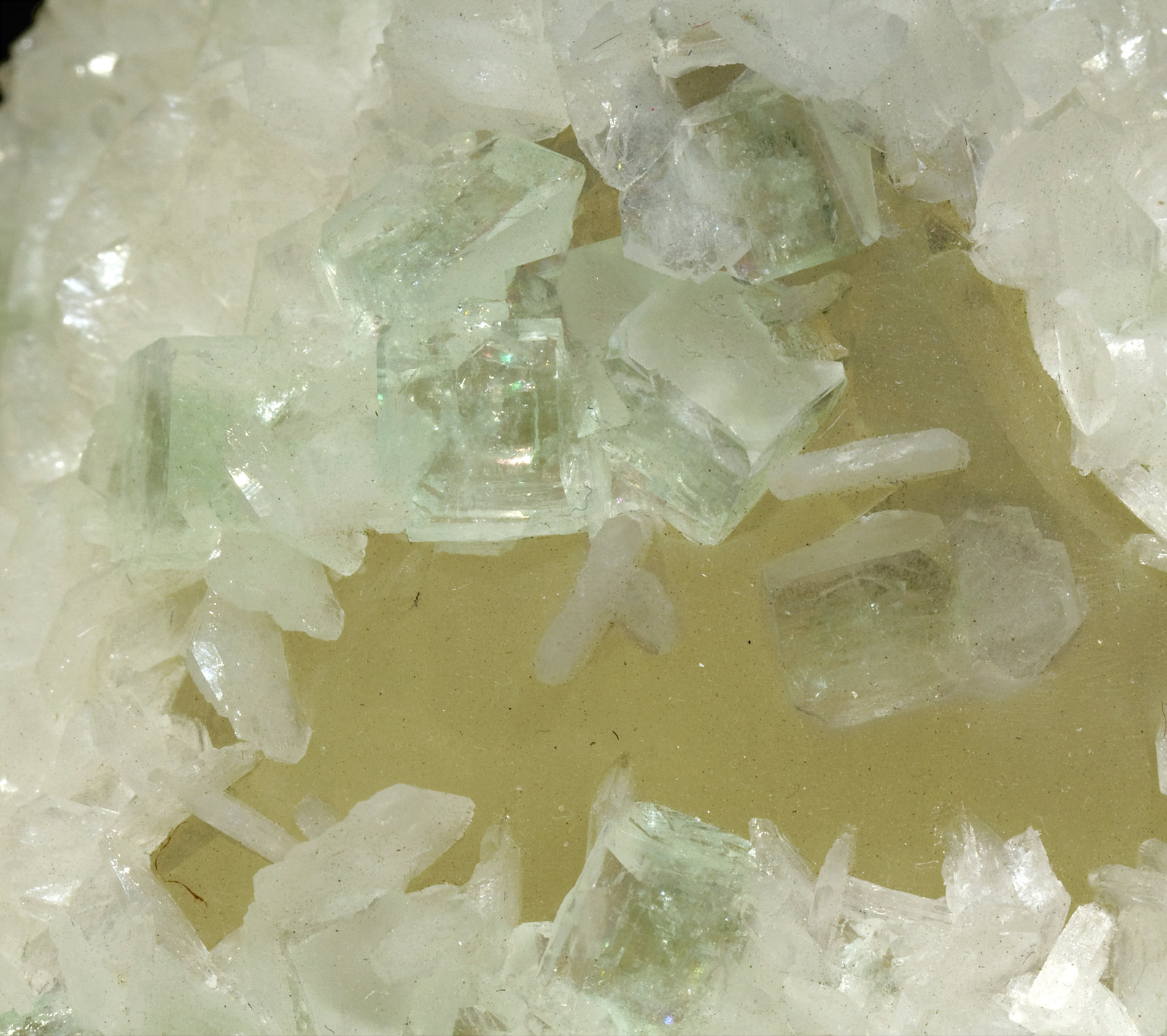 specimens/s_imagesT3/Calcite-JA37T3d.jpg