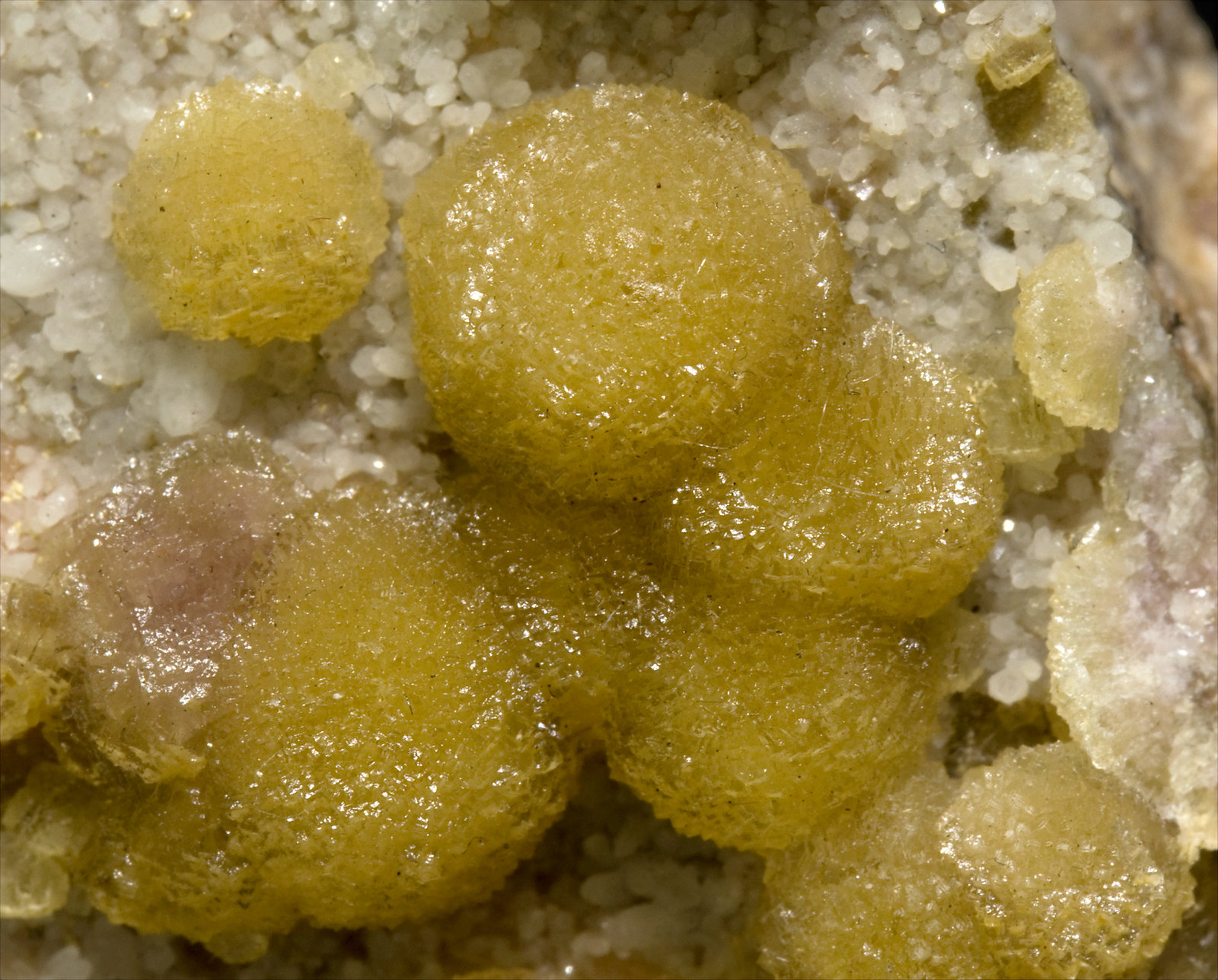 specimens/s_imagesT3/Fluorite-FJ11T3d.jpg