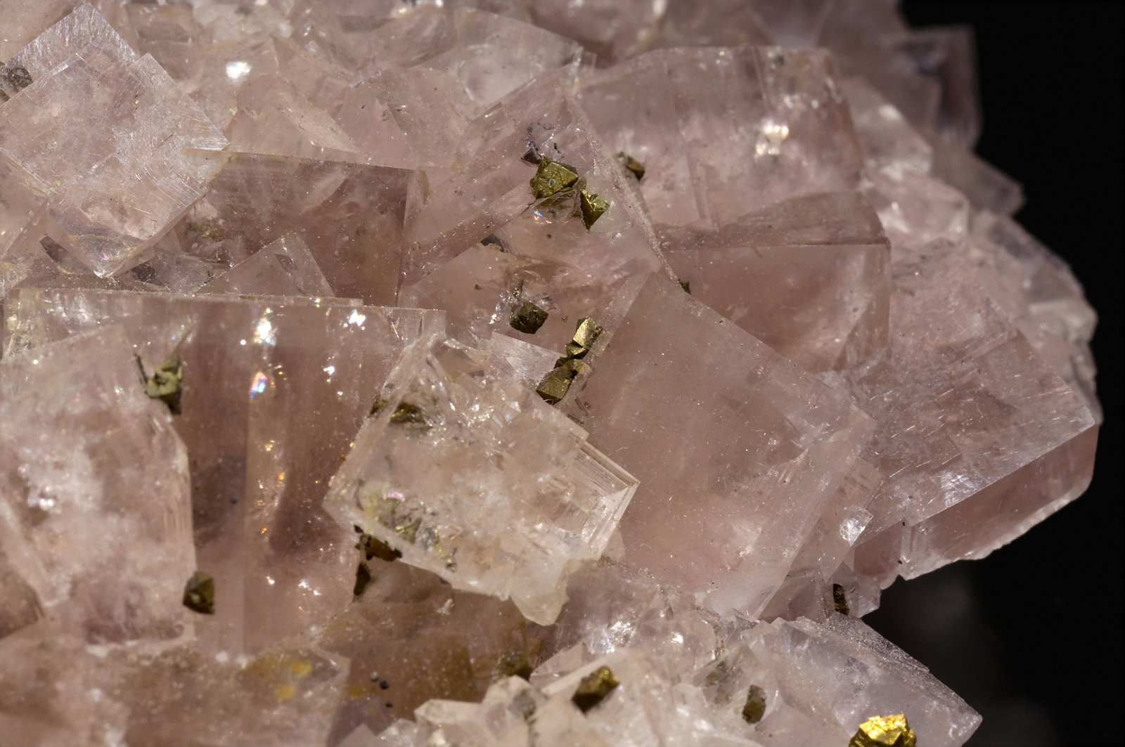 specimens/s_imagesT3/Fluorite-FM88T3d.jpg