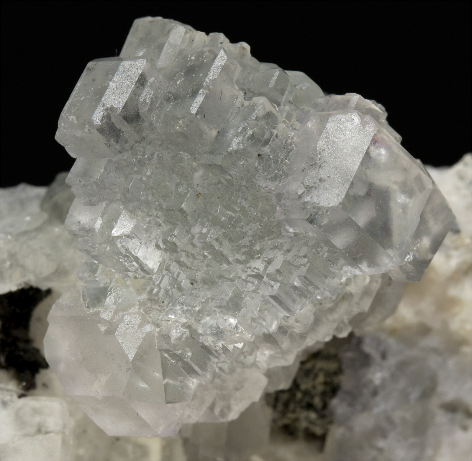 specimens/s_imagesT3/Fluorite-FP60T3d.jpg