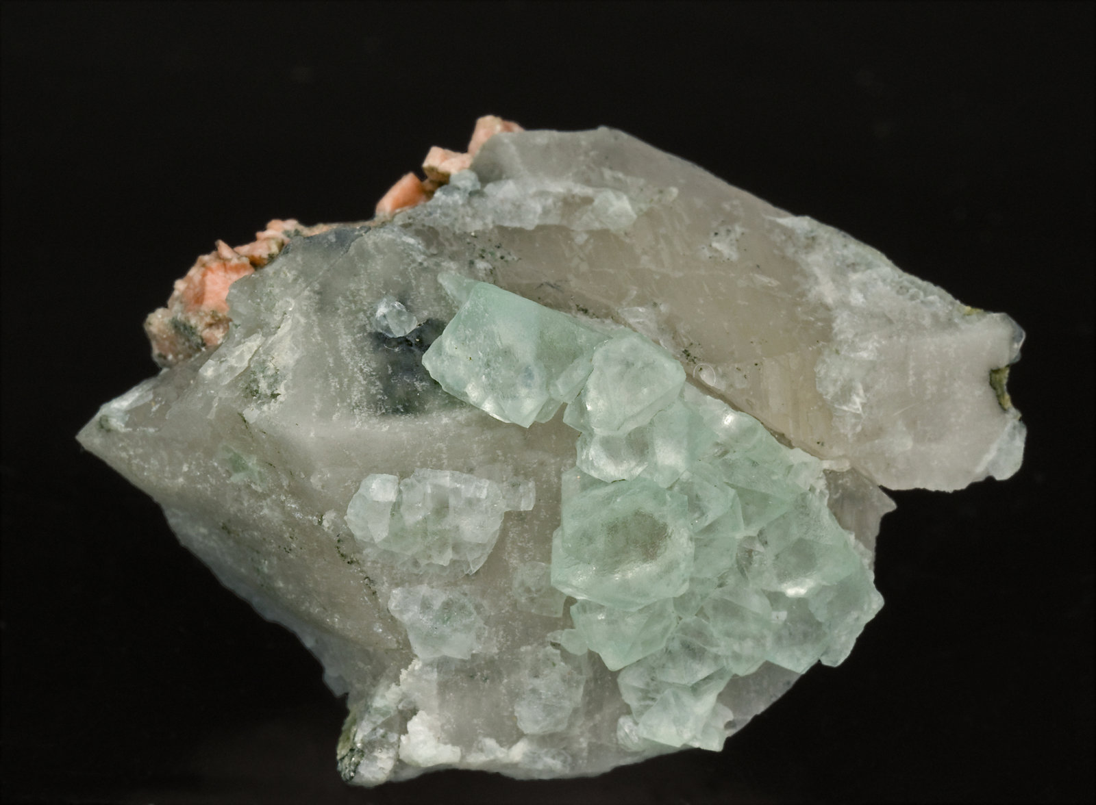specimens/s_imagesT3/Fluorite-MH6T3f.jpg