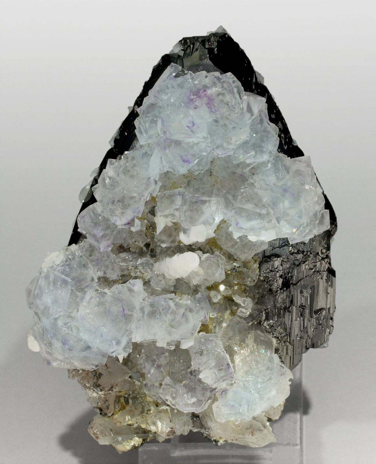 specimens/s_imagesT3/Fluorite-MT67T3f.jpg