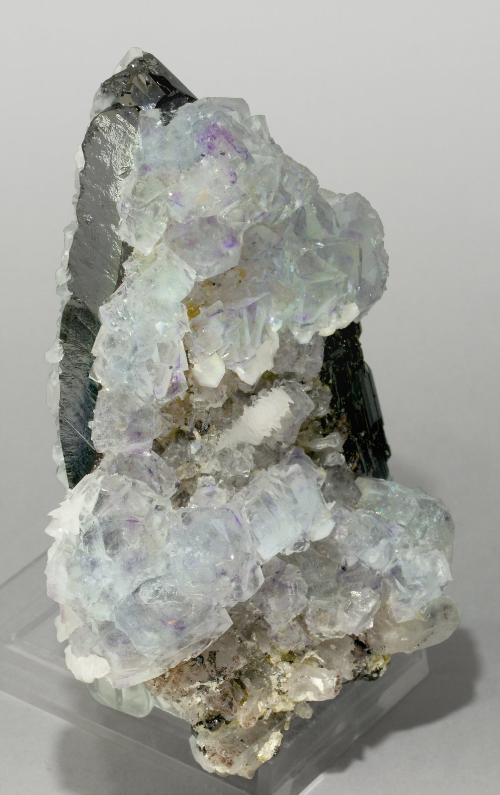 specimens/s_imagesT3/Fluorite-MT67T3s1.jpg