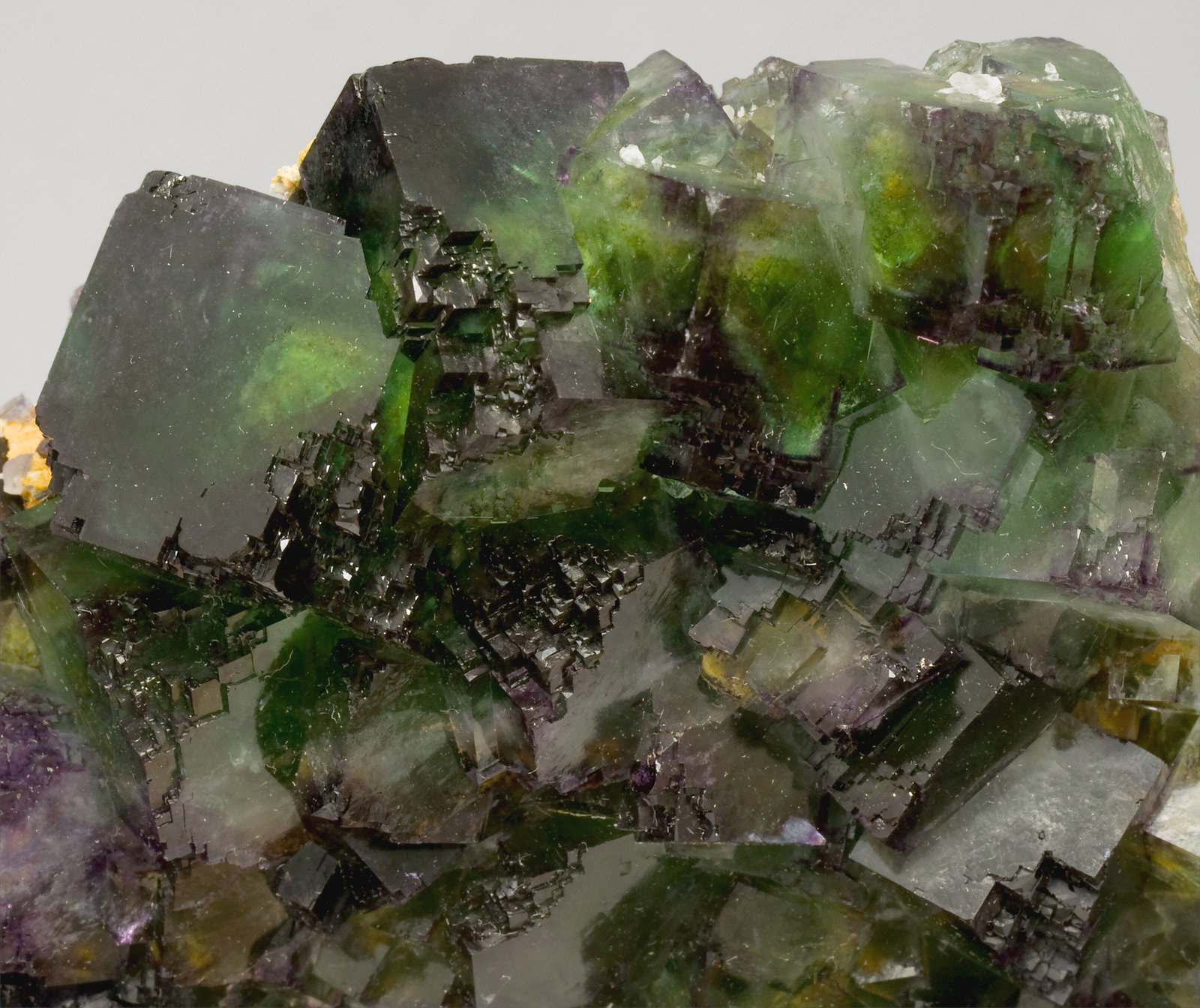 specimens/s_imagesT3/Fluorite-MT96T3d.jpg