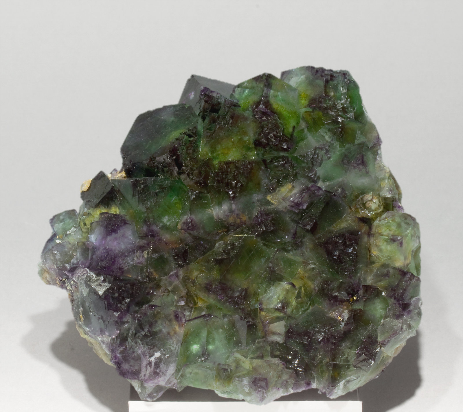 specimens/s_imagesT3/Fluorite-MT96T3f.jpg