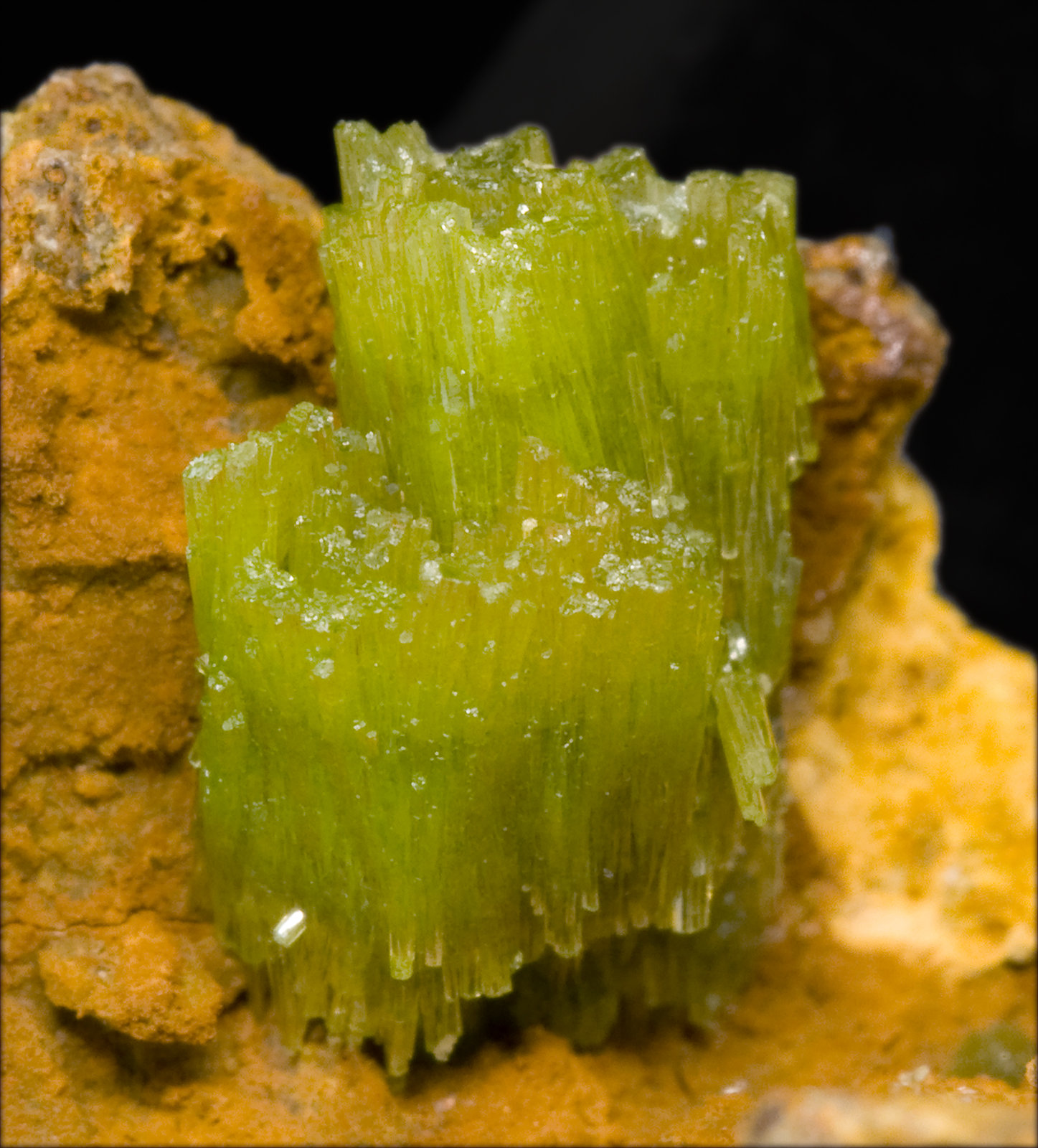 specimens/s_imagesT3/Pyromorphite-TA96T3d.jpg