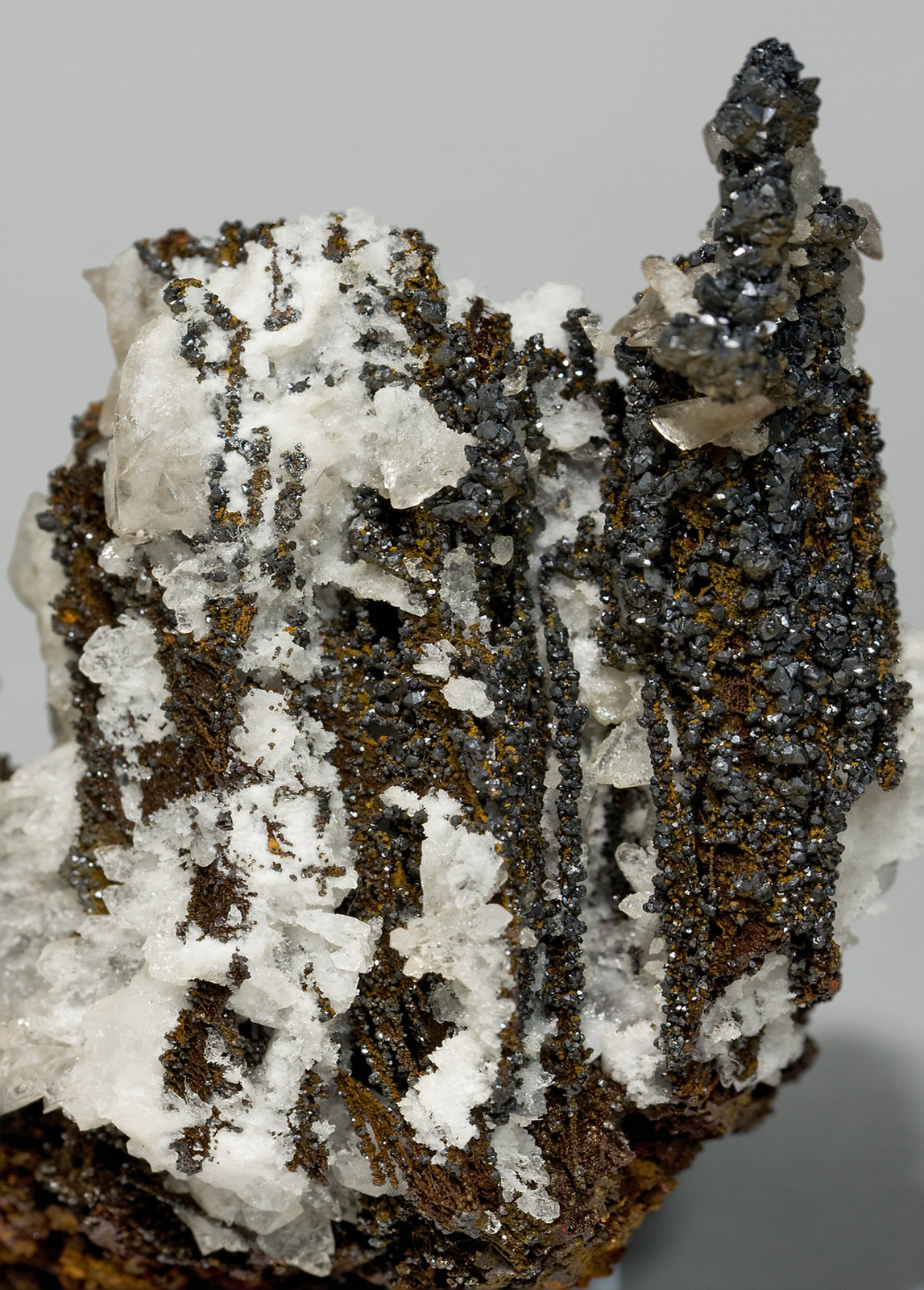 specimens/s_imagesT4/Descloizite-ND26T4d.jpg