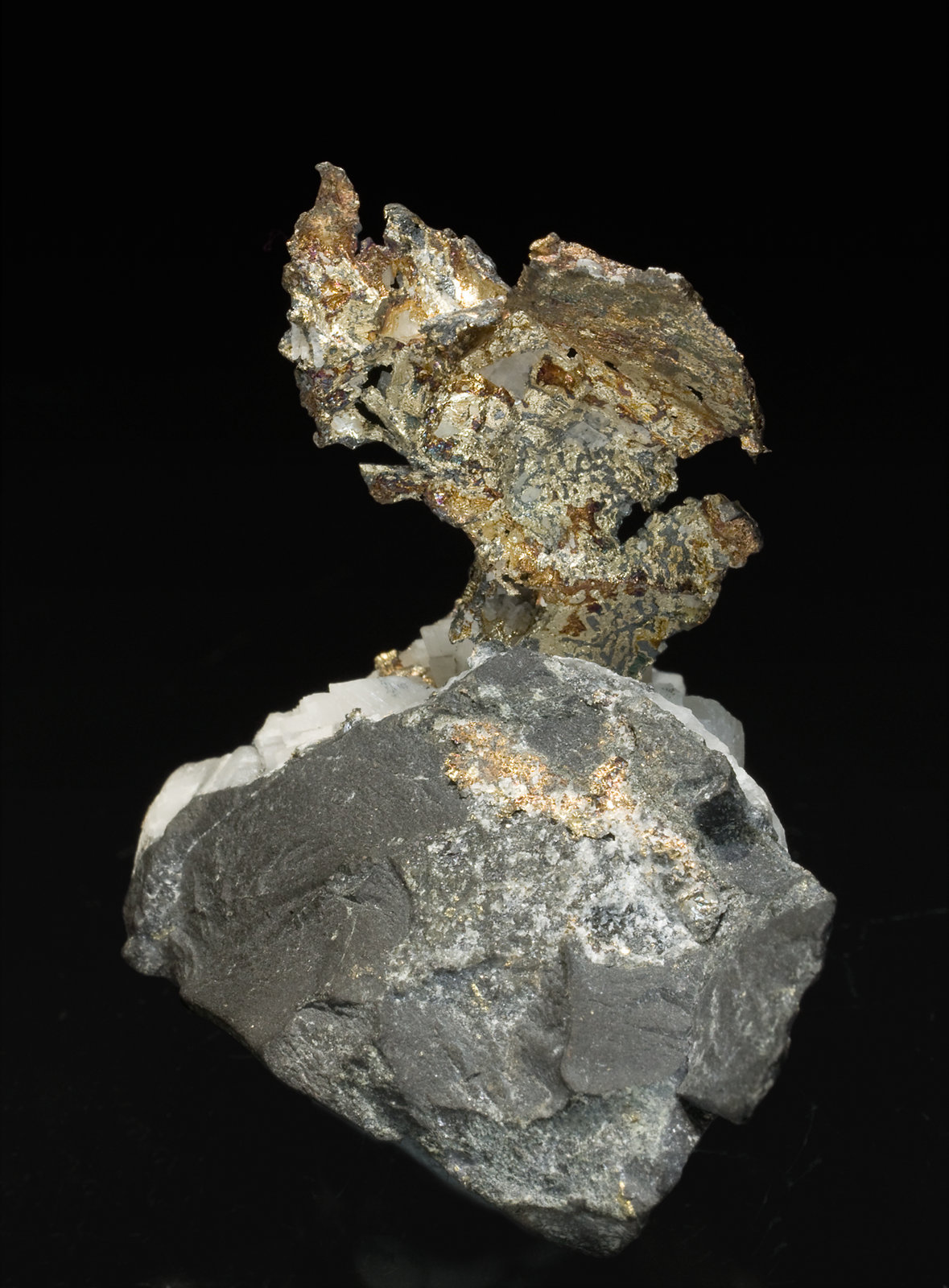 specimens/s_imagesT4/Silver-EQ50T4r.jpg
