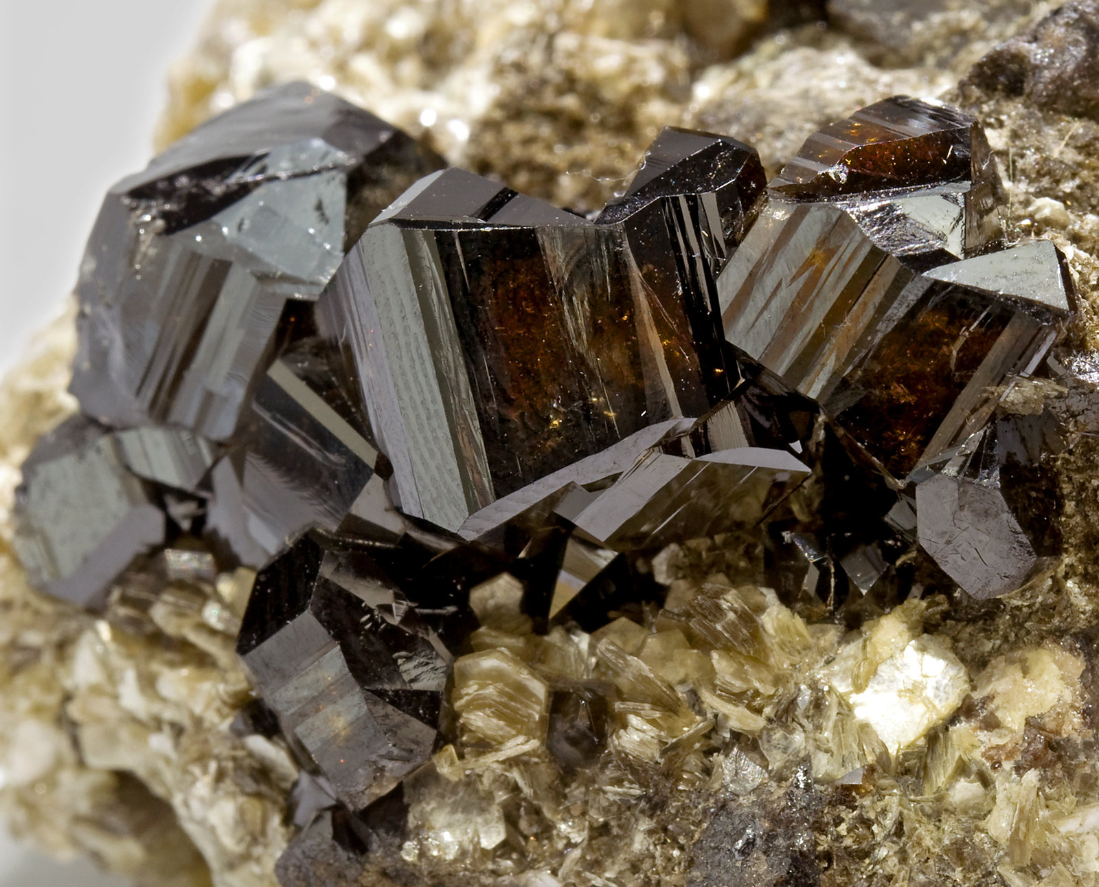 specimens/s_imagesT5/Cassiterite-RK27T5d.jpg