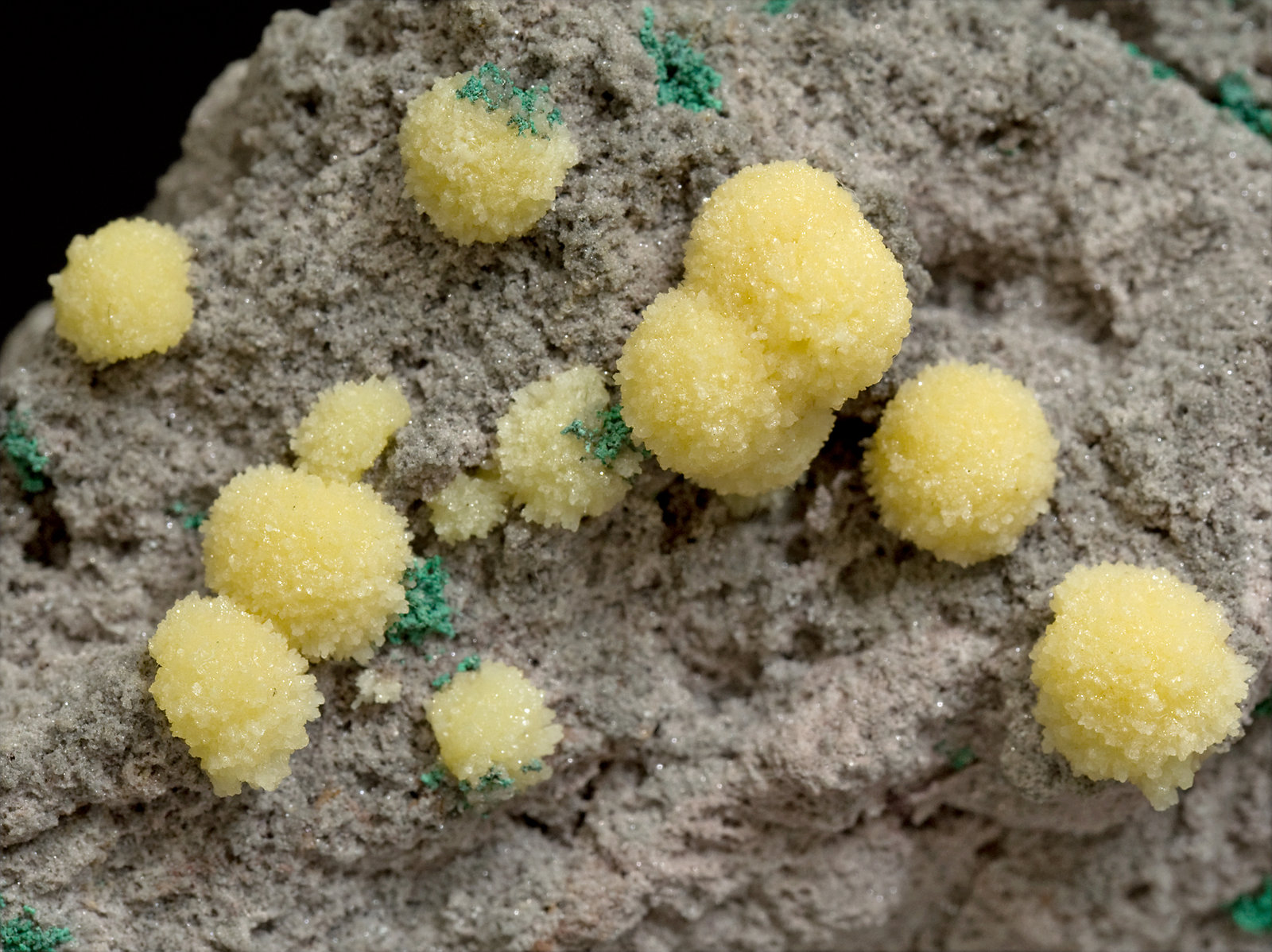 specimens/s_imagesT5/Mimetite-RV16T5d.jpg