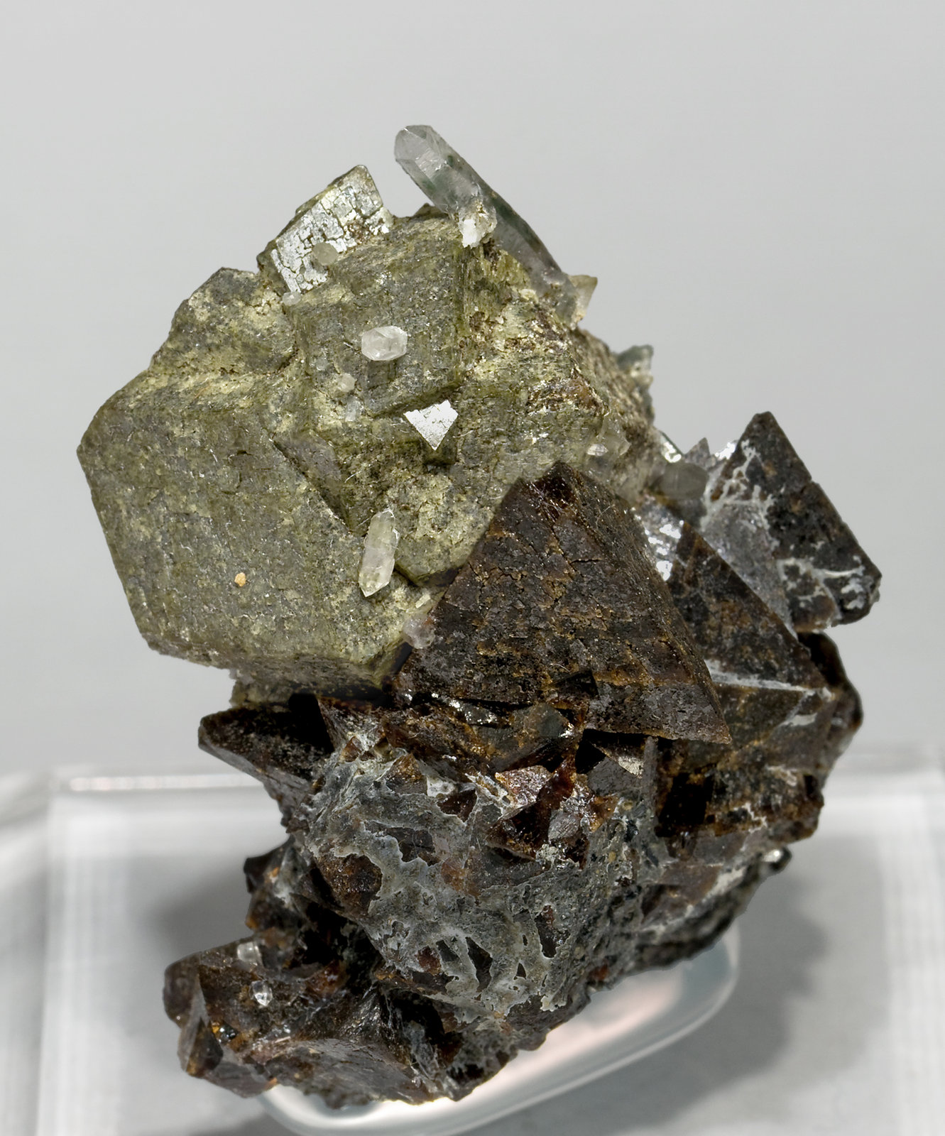 specimens/s_imagesT6/Genthelvite-MV70T6f.jpg