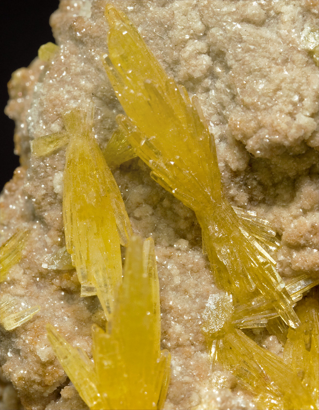 specimens/s_imagesT6/Mimetite-EA68T6d.jpg