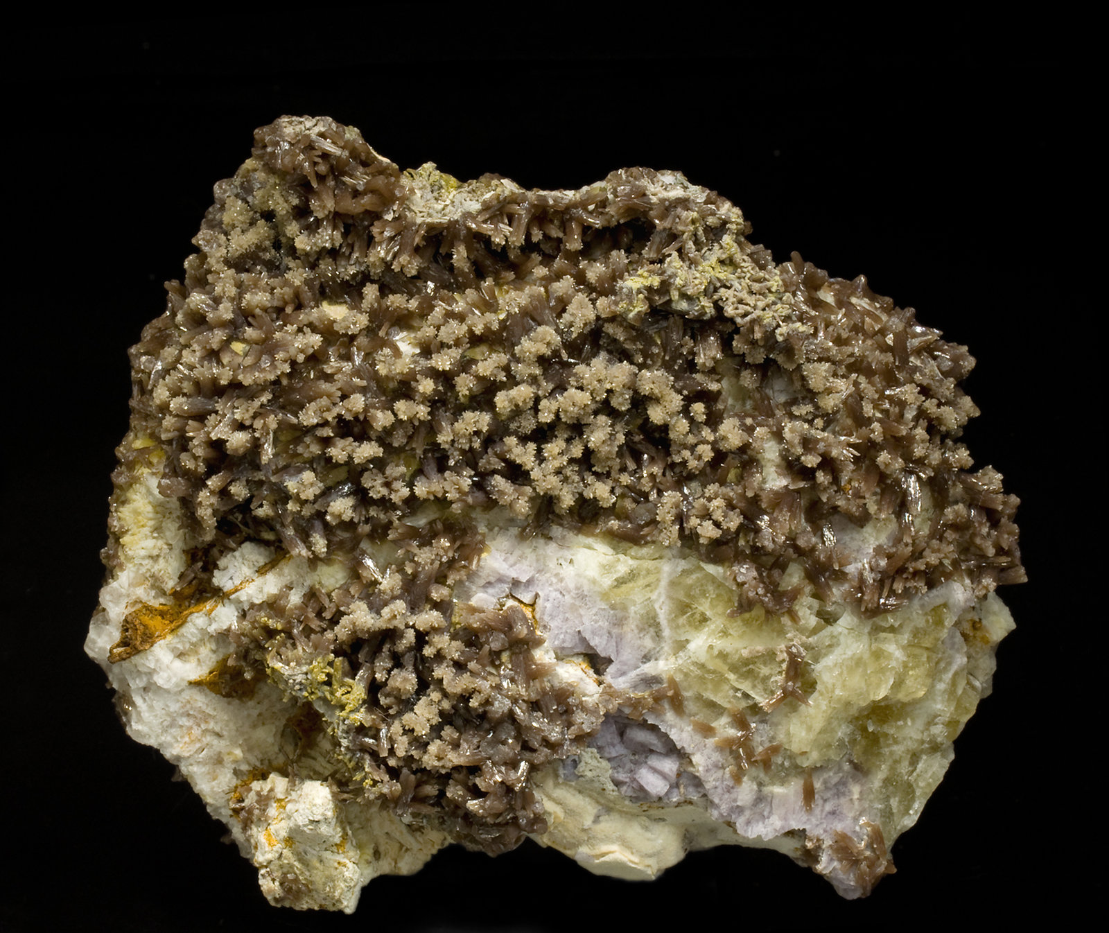 specimens/s_imagesT7/Pyromorphite-TR94T7f.jpg