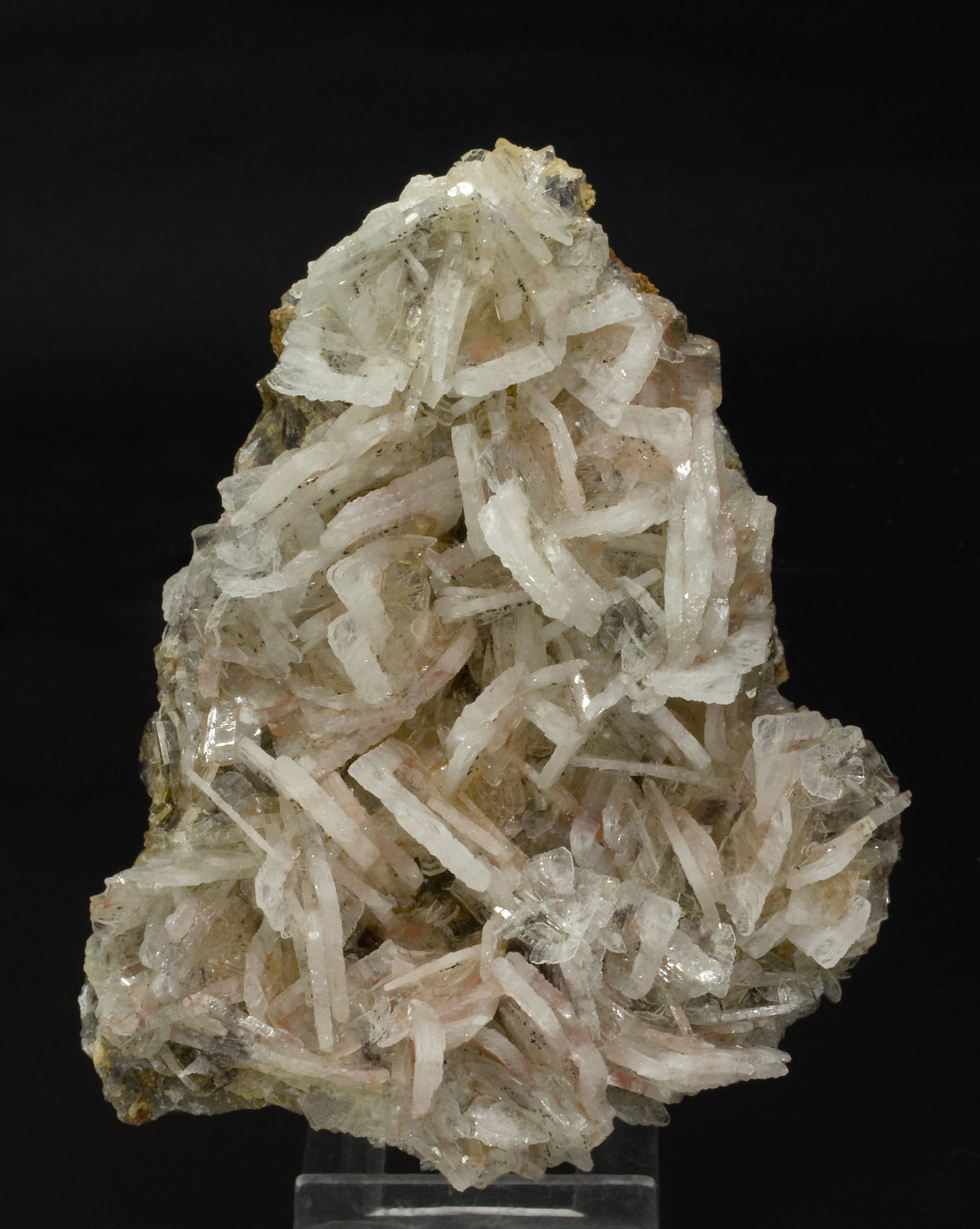 specimens/s_imagesT8/Barite-EP47T8f.jpg