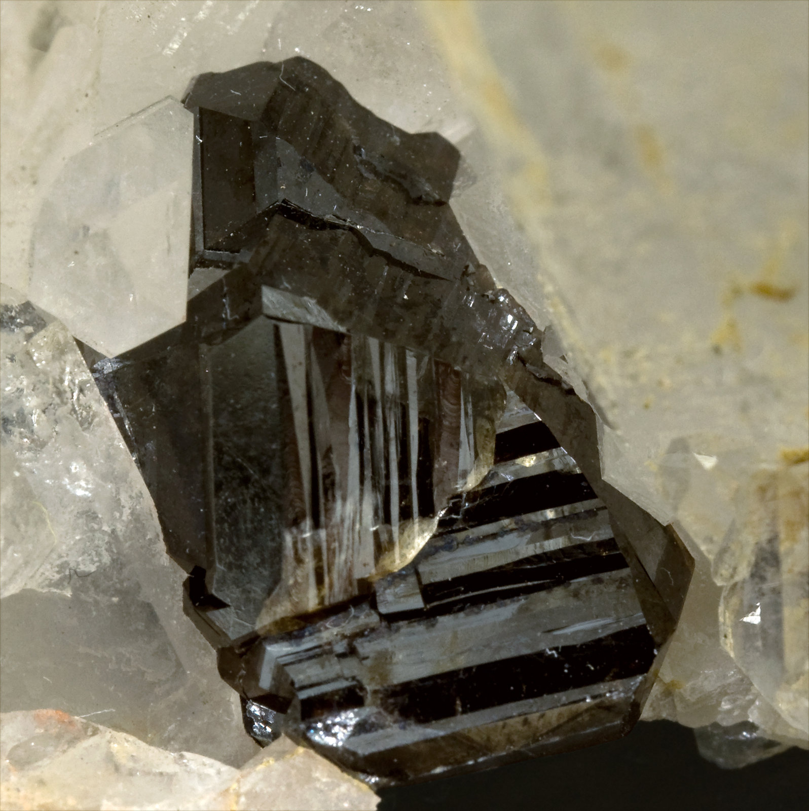 specimens/s_imagesT8/Cassiterite-RZ26T8d.jpg