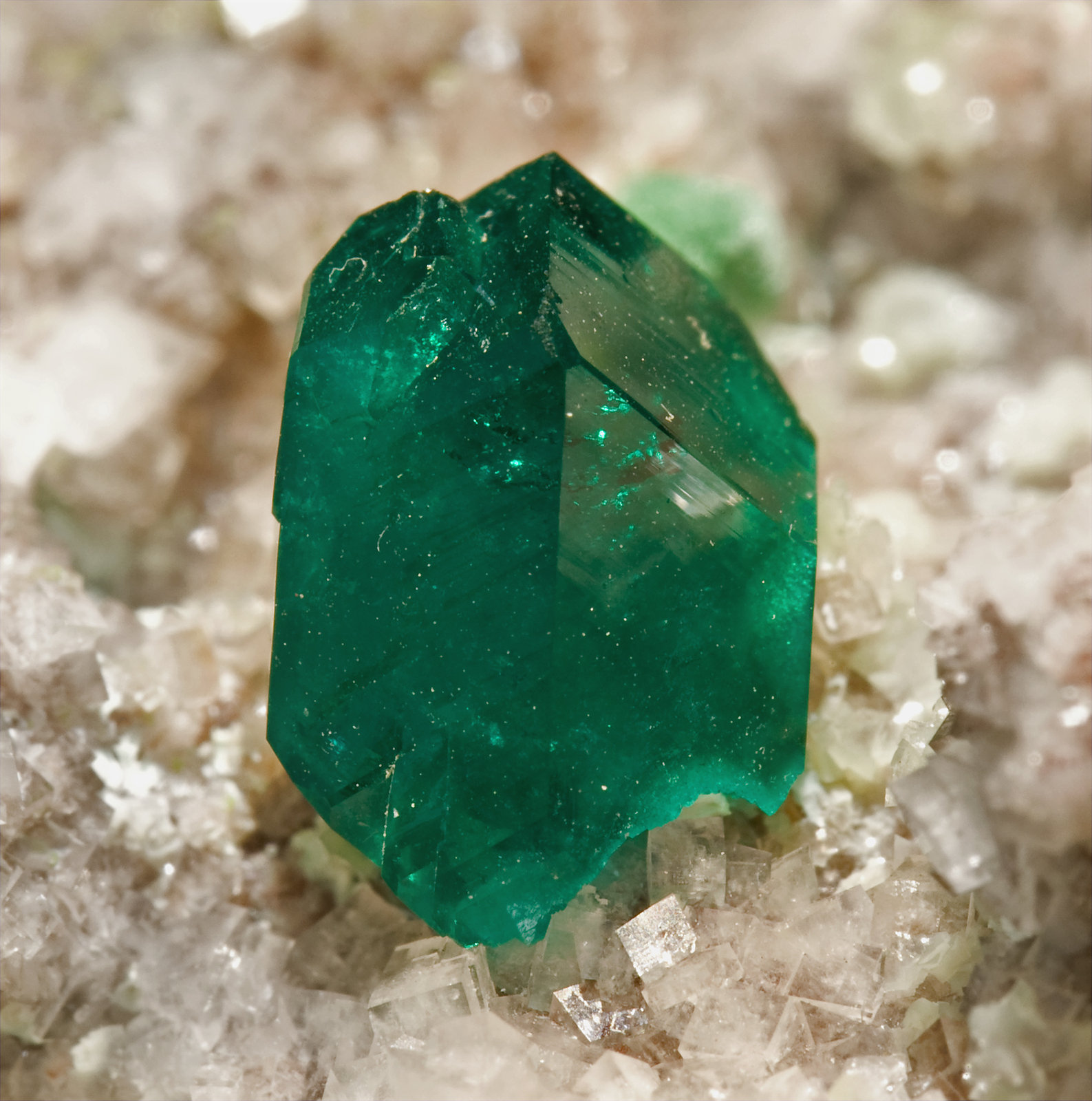 specimens/s_imagesT8/Dioptase-MY27T8d1.jpg