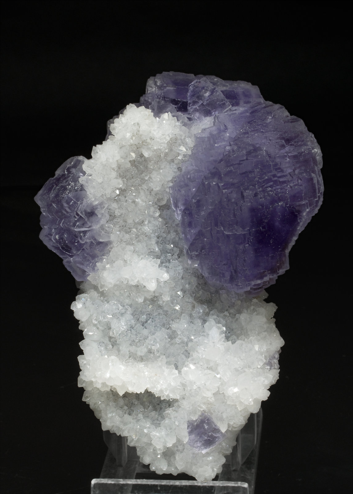 specimens/s_imagesT8/Fluorite-NL68T8s.jpg