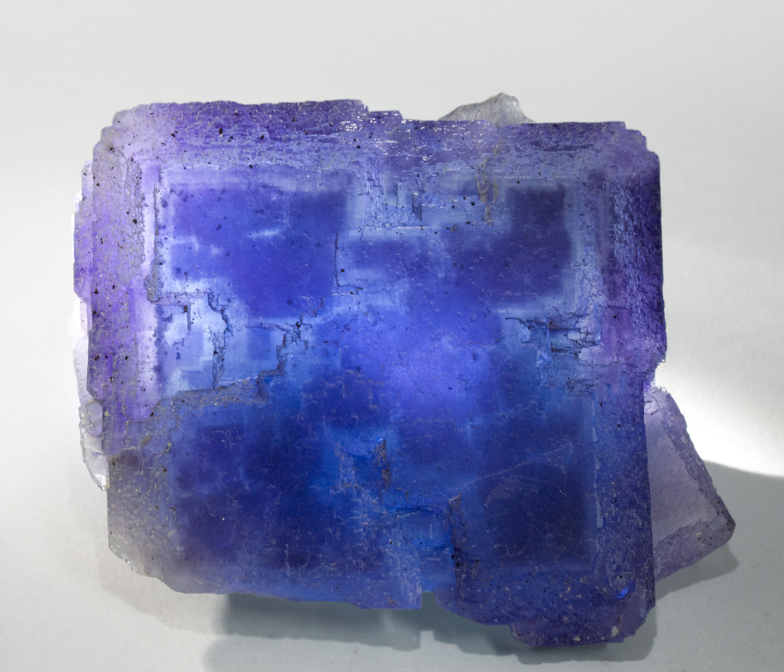 specimens/s_imagesT8/Fluorite-NM29T8f2.jpg