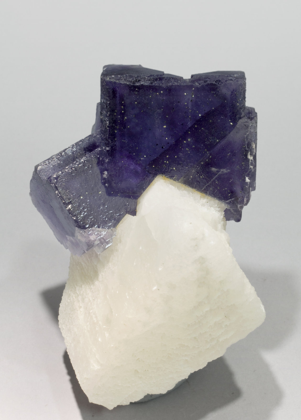 specimens/s_imagesT8/Fluorite-NM87T8f.jpg