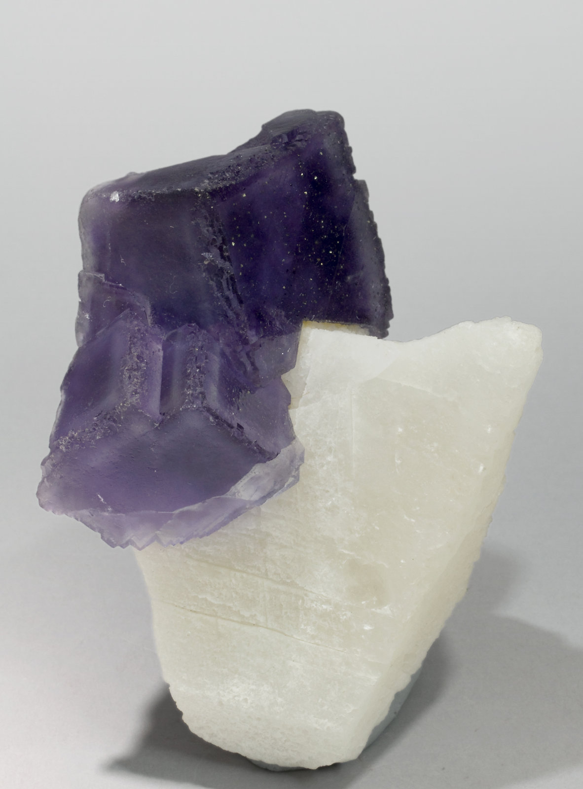 specimens/s_imagesT8/Fluorite-NM87T8s.jpg